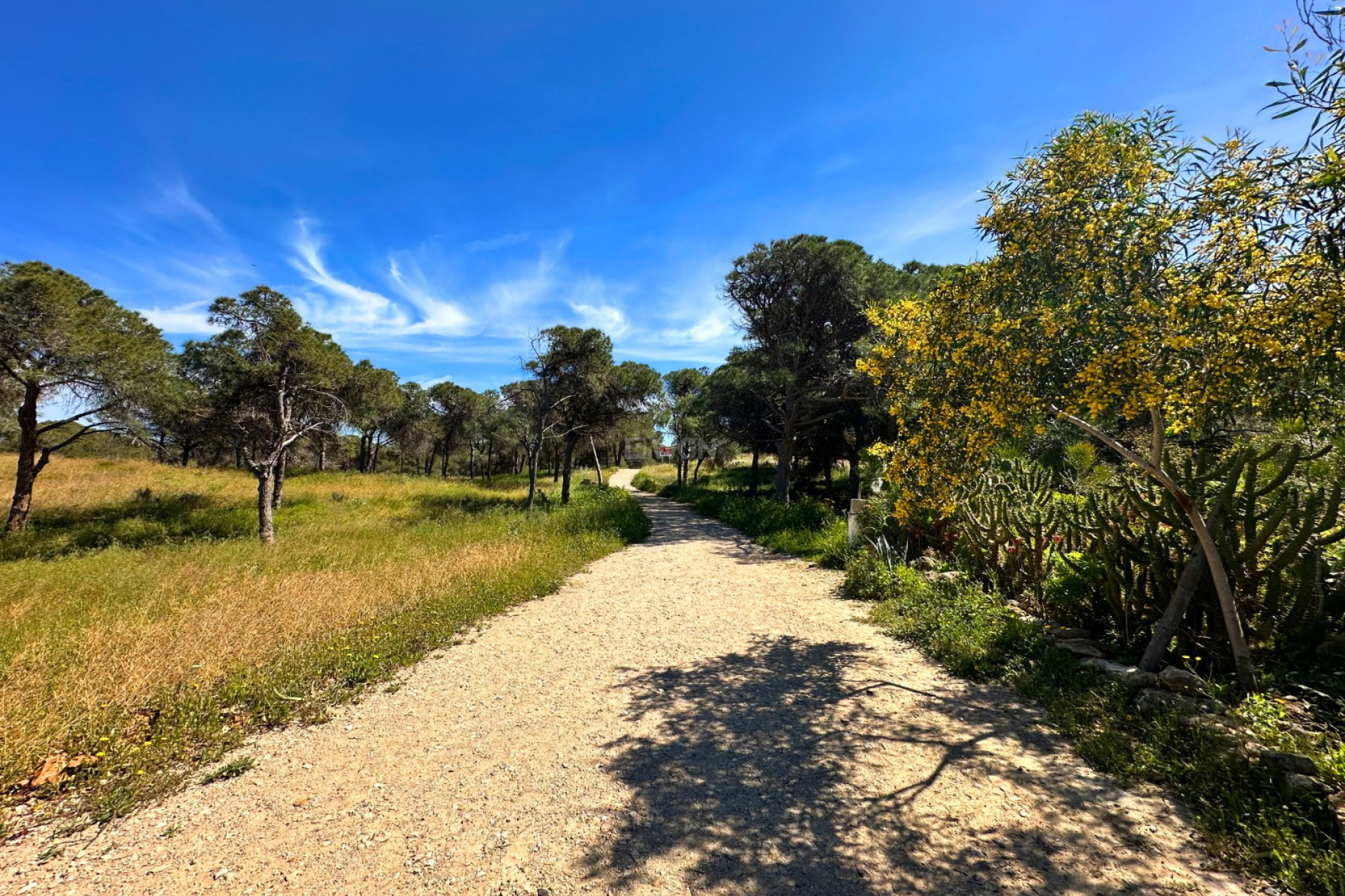 Resale - Townhouse - Guardamar del Segura - Costa Blanca