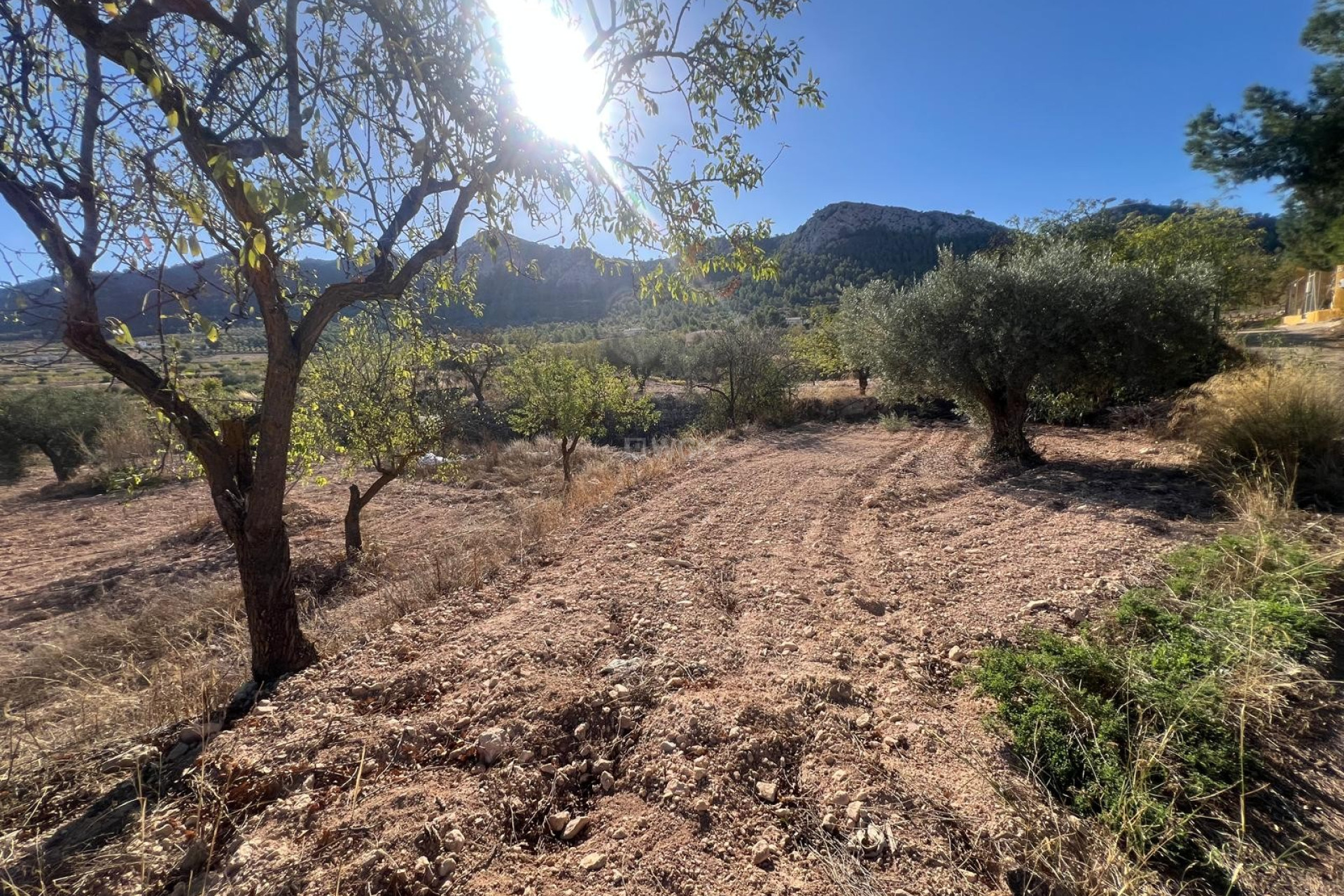 Resale - Townhouse - La Zarza - Inland