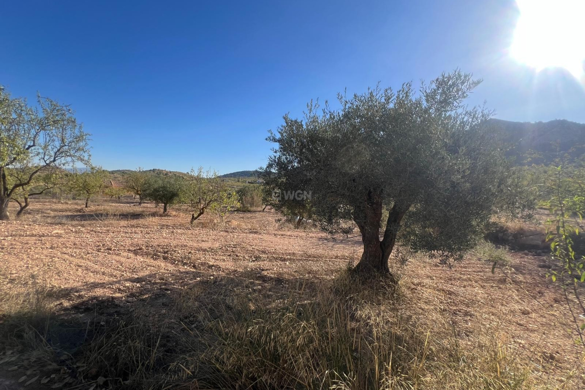 Resale - Townhouse - La Zarza - Inland