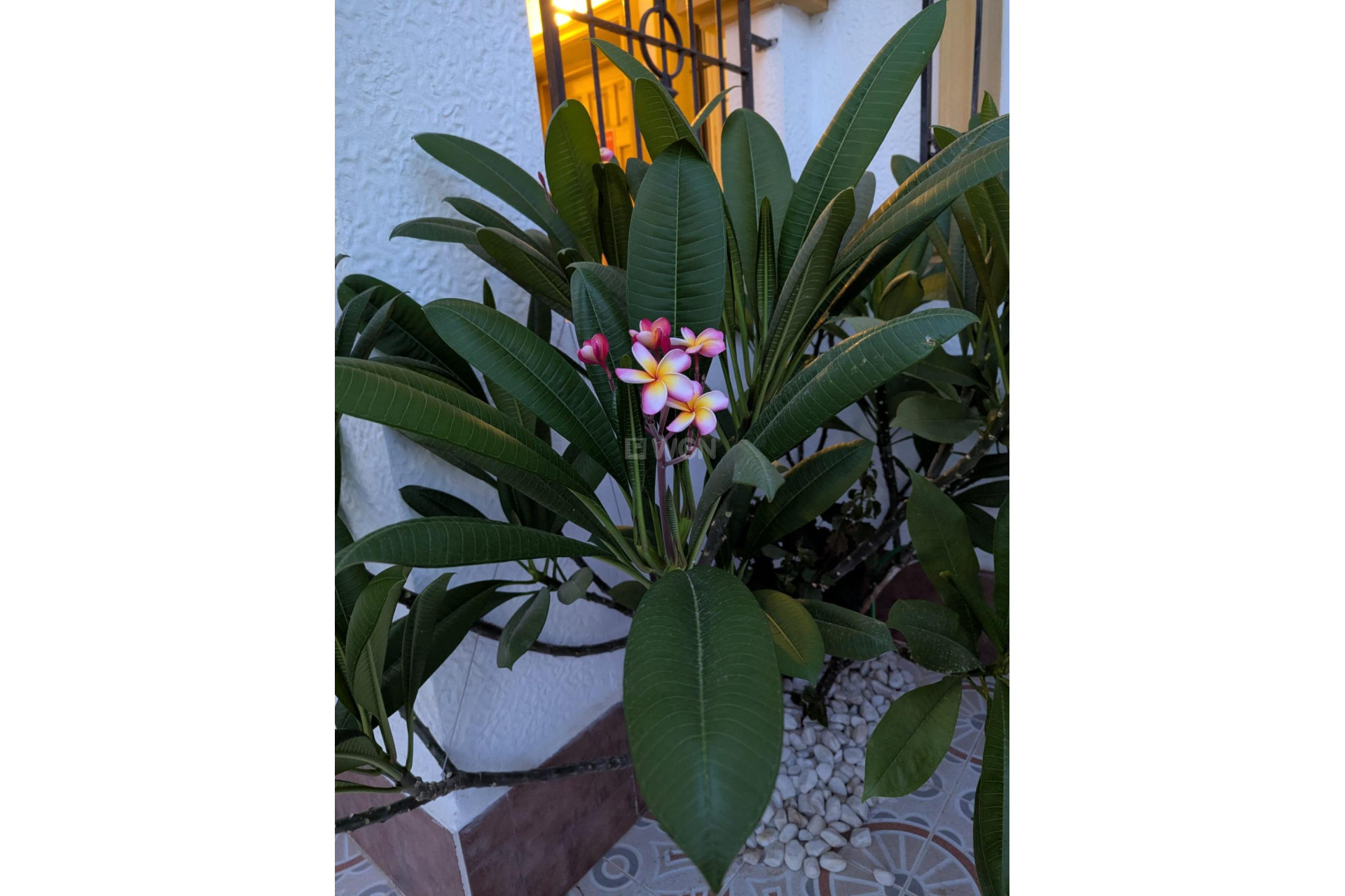 Resale - Townhouse - Torrevieja - Carrefour