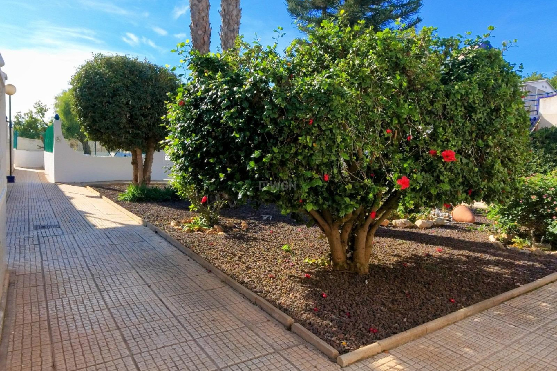 Resale - Townhouse - Torrevieja - Carrefour