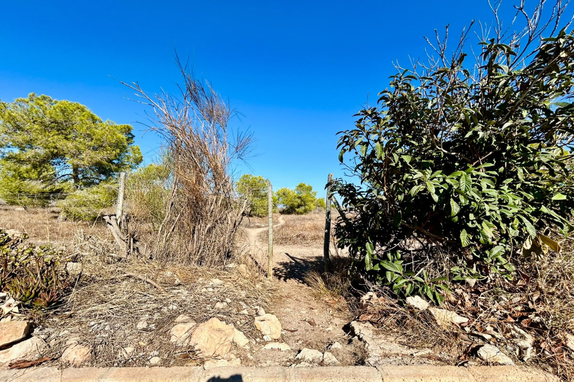 Resale - Townhouse - Torrevieja - Costa Blanca