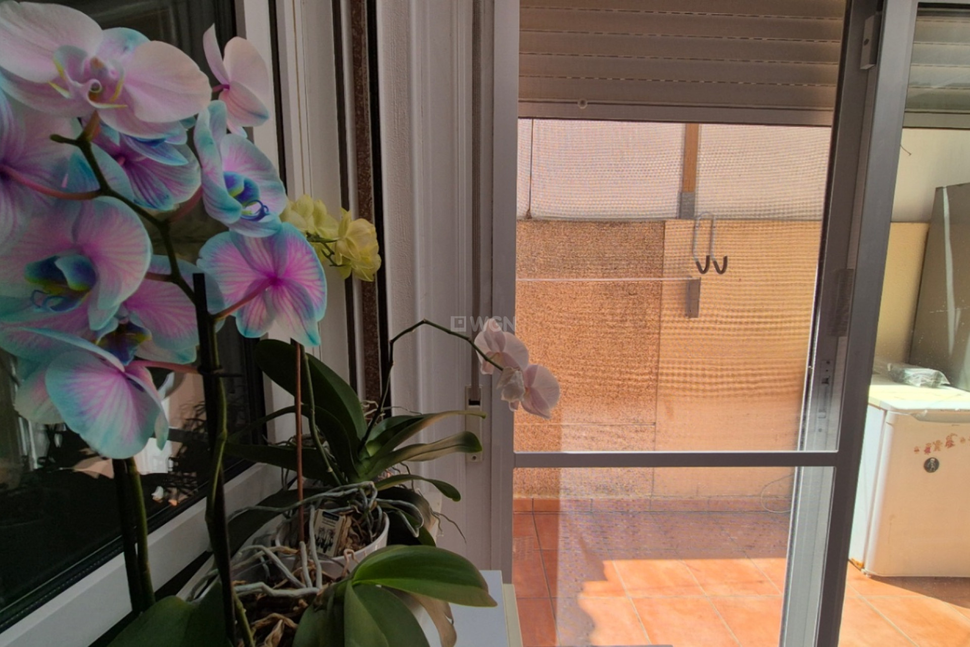 Resale - Townhouse - Torrevieja - Costa Blanca