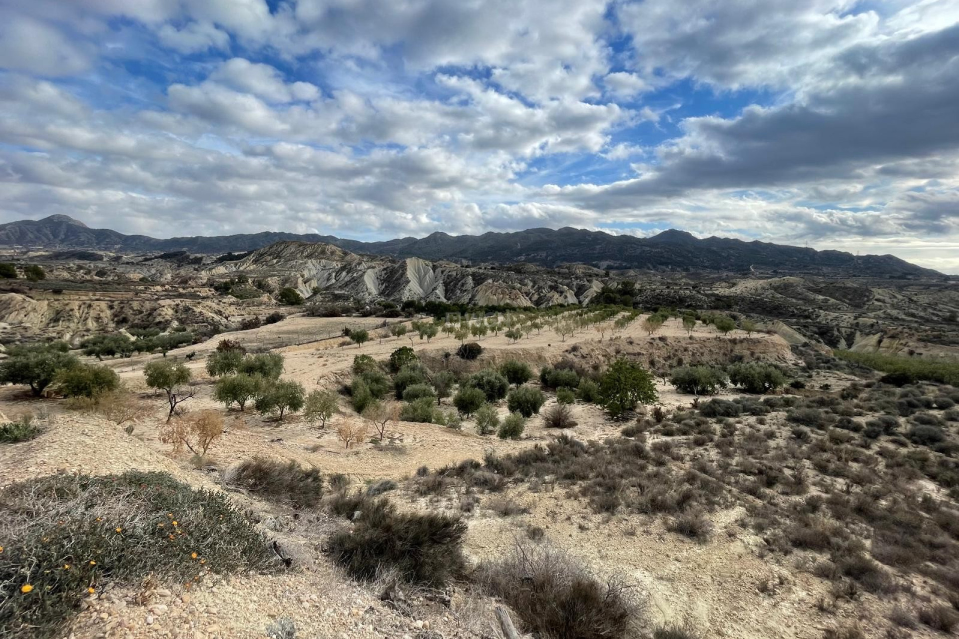 Resale - Villa - Abanilla - Inland