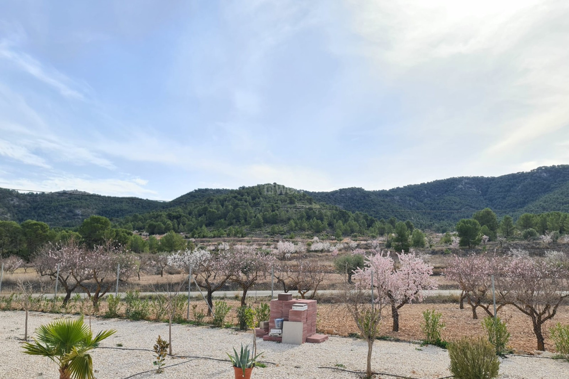 Resale - Villa - Abanilla - Inland