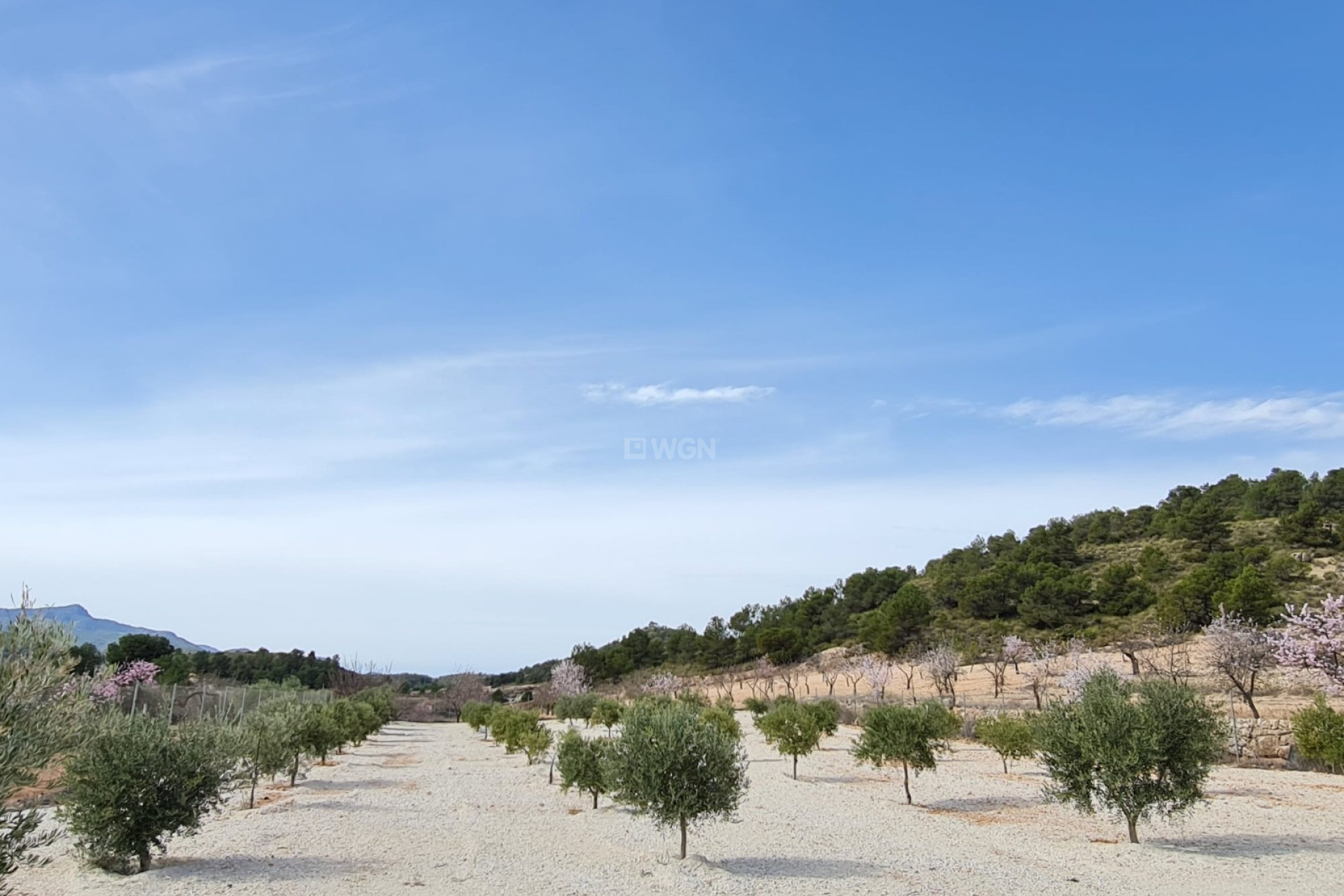 Resale - Villa - Abanilla - Inland