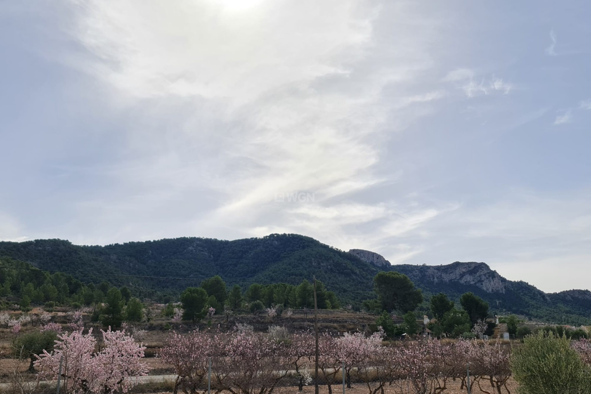 Resale - Villa - Abanilla - Inland