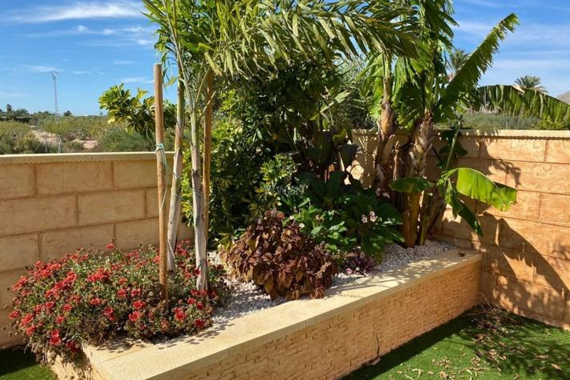 Resale - Villa - Albatera - Campo De Albatera