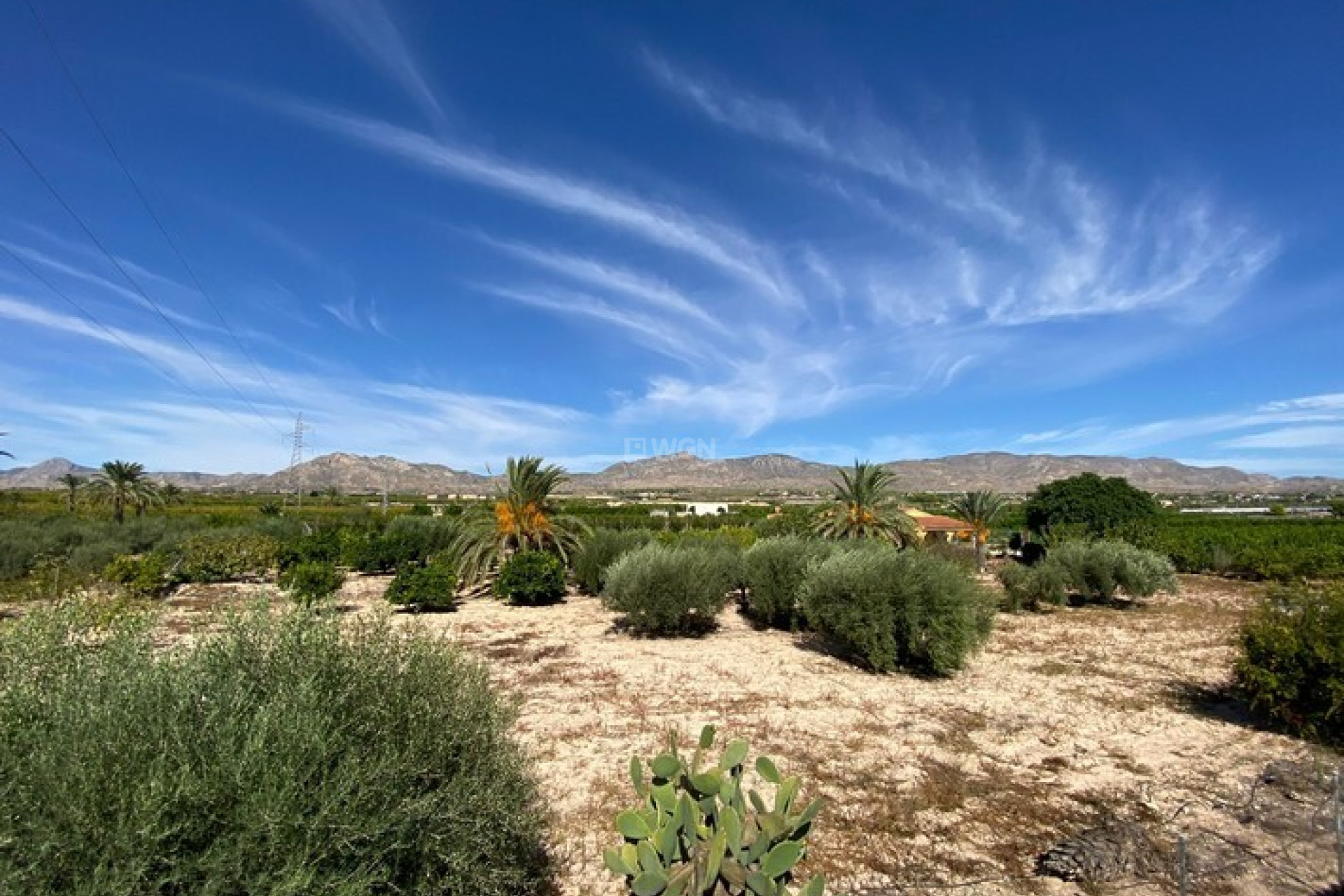 Resale - Villa - Albatera - Inland