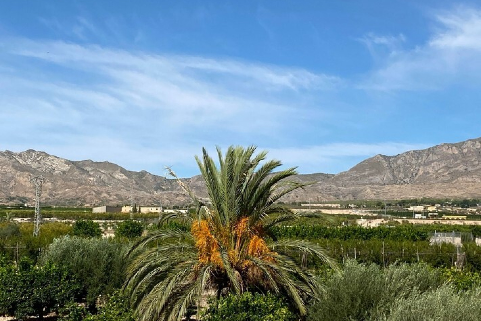 Resale - Villa - Albatera - Inland