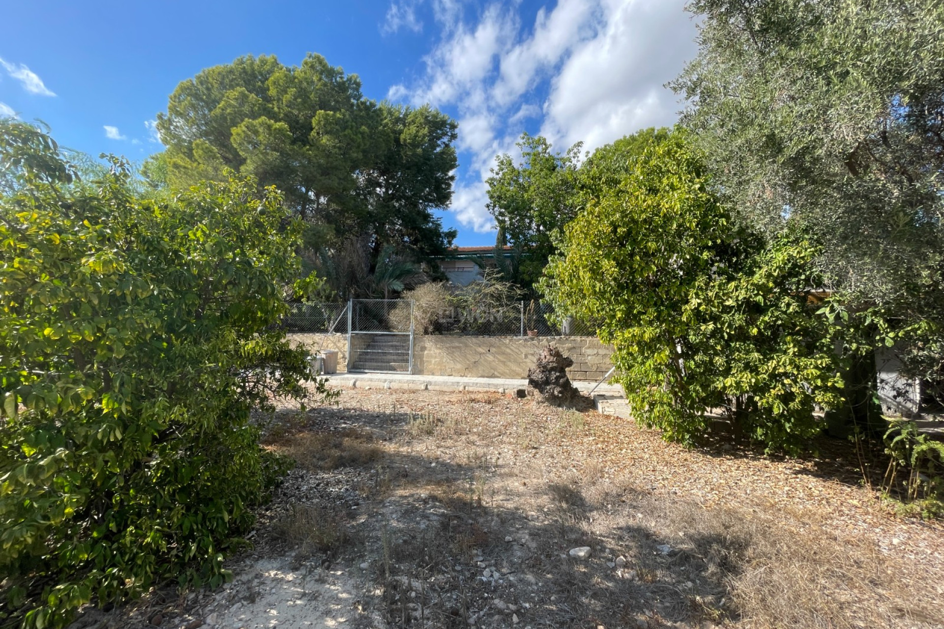 Resale - Villa - Albatera - Inland