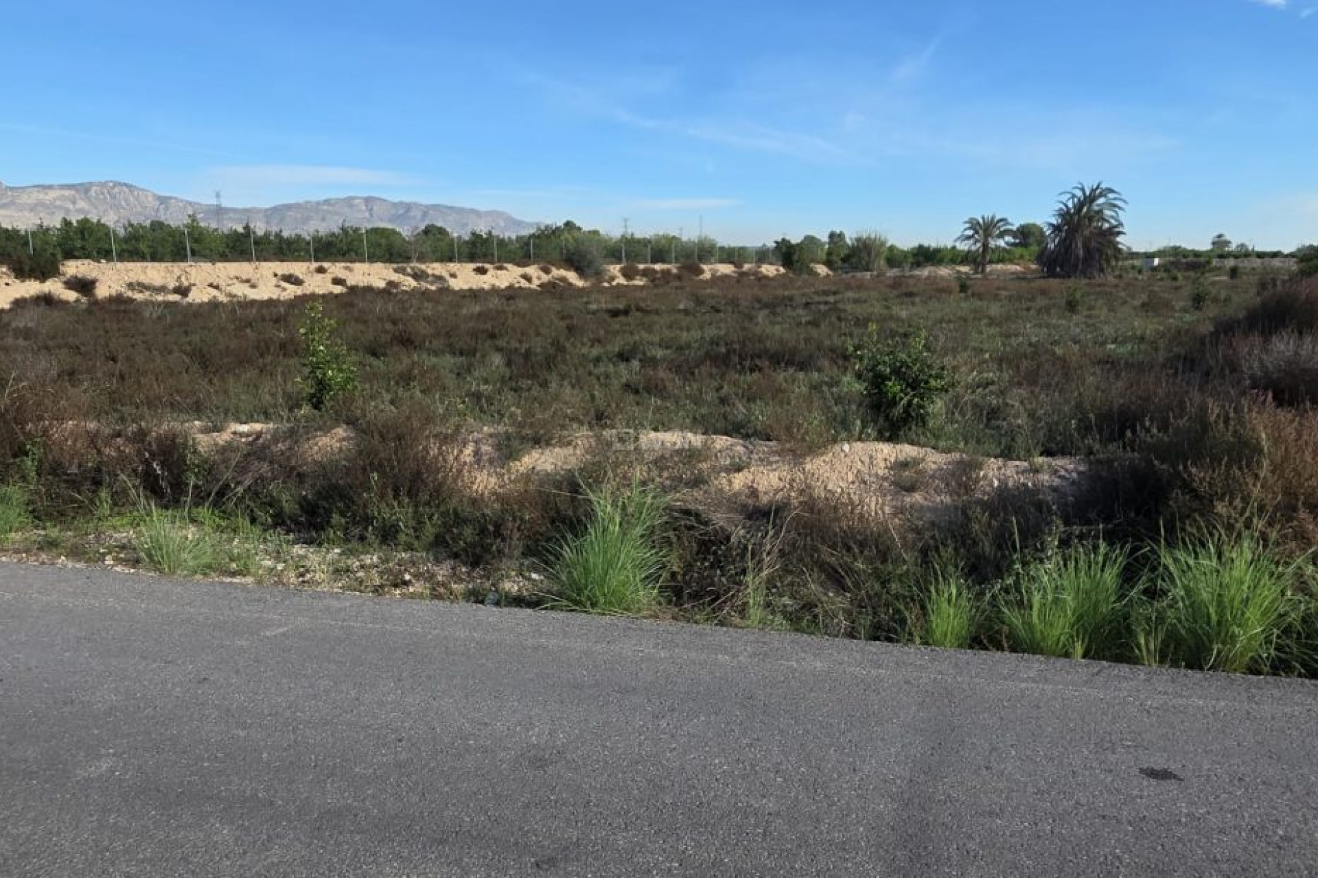 Resale - Villa - Albatera - Inland