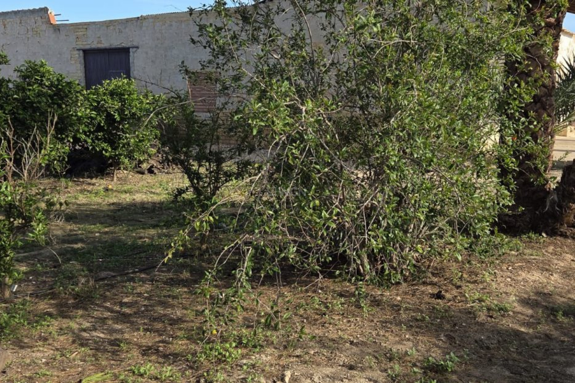 Resale - Villa - Albatera - Inland