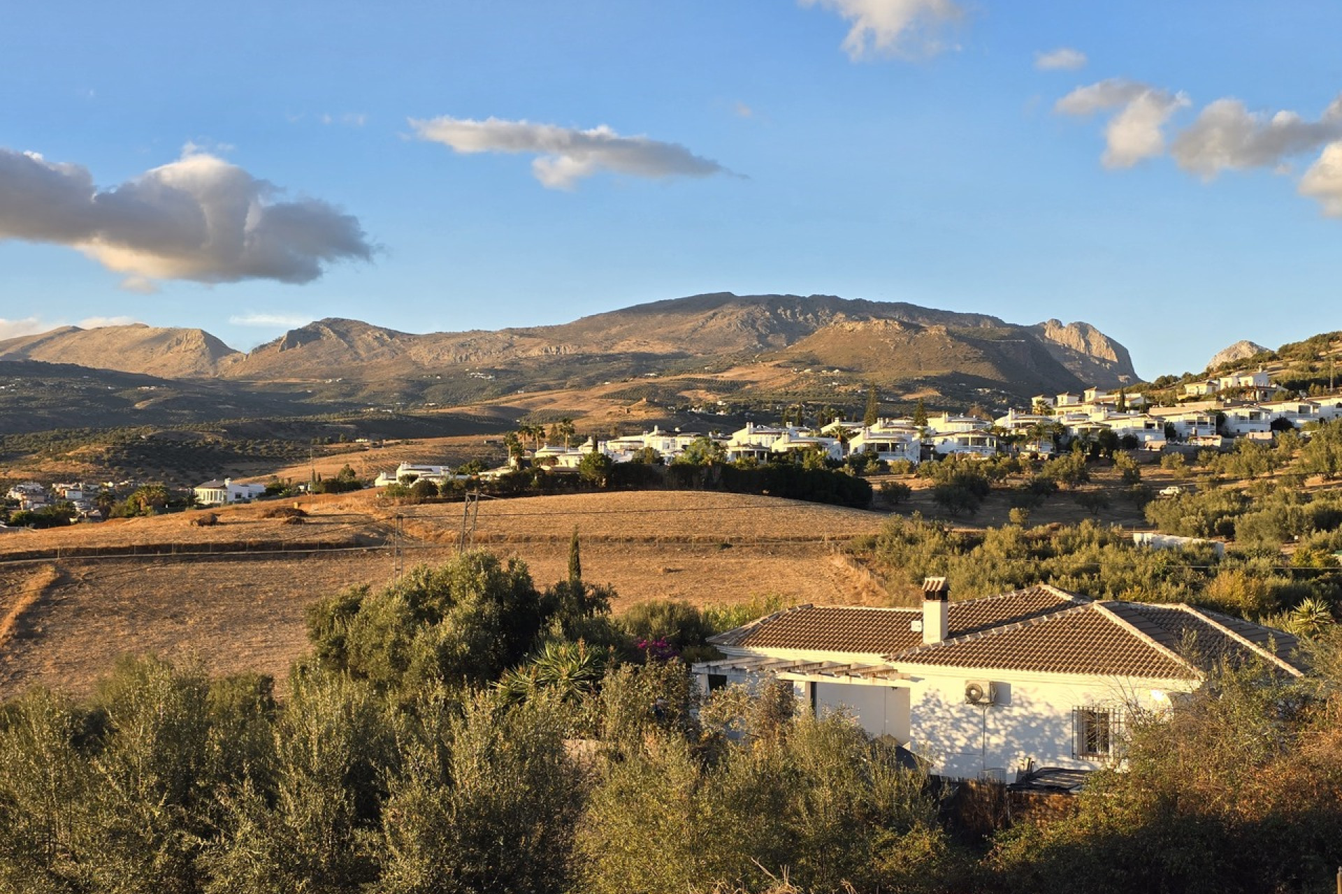 Resale - Villa - Alcaucín - Inland