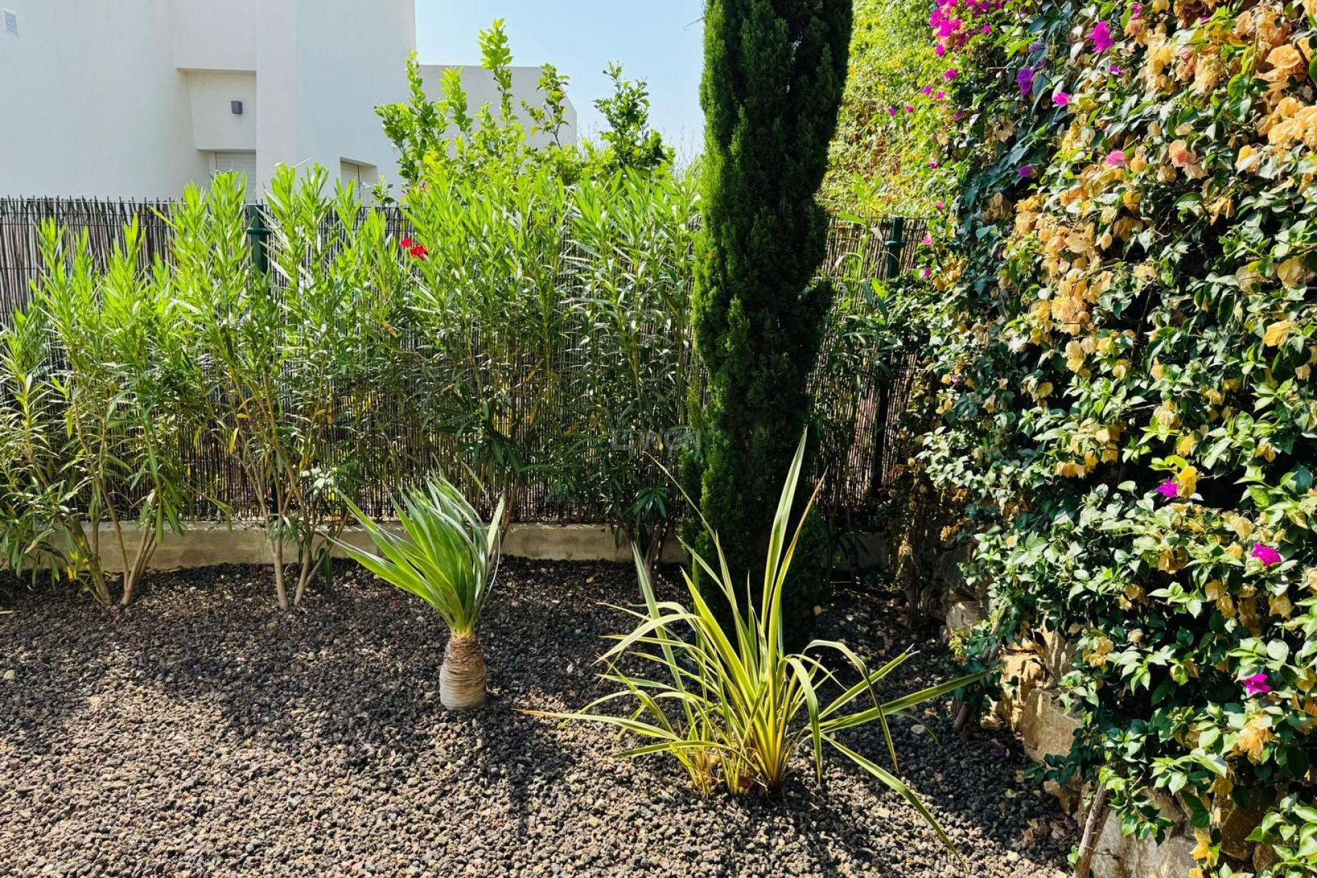 Resale - Villa - Algorfa - Club De Golf La Finca