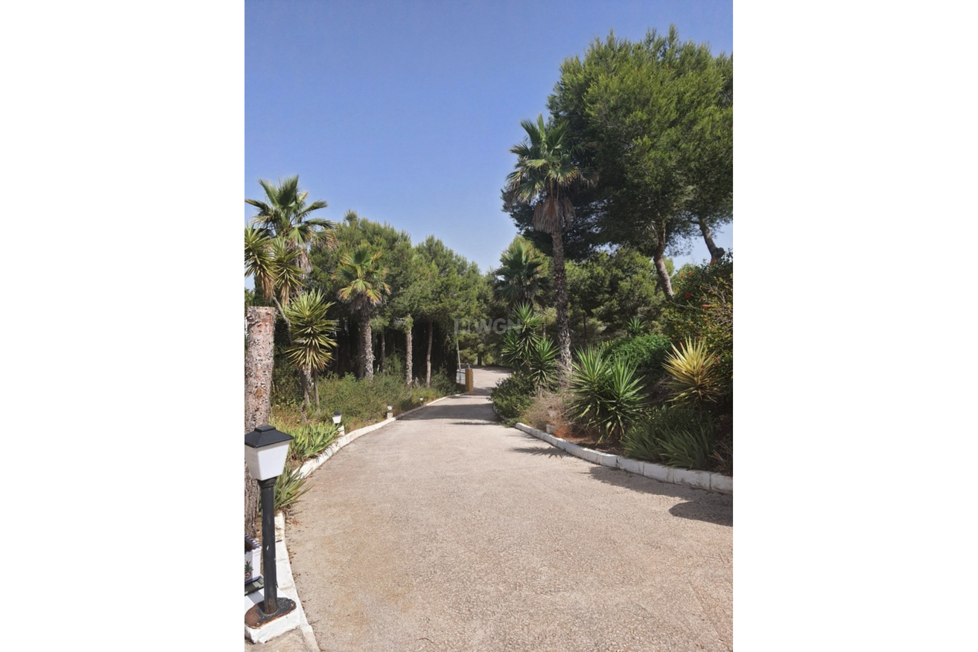 Resale - Villa - Algorfa - Inland