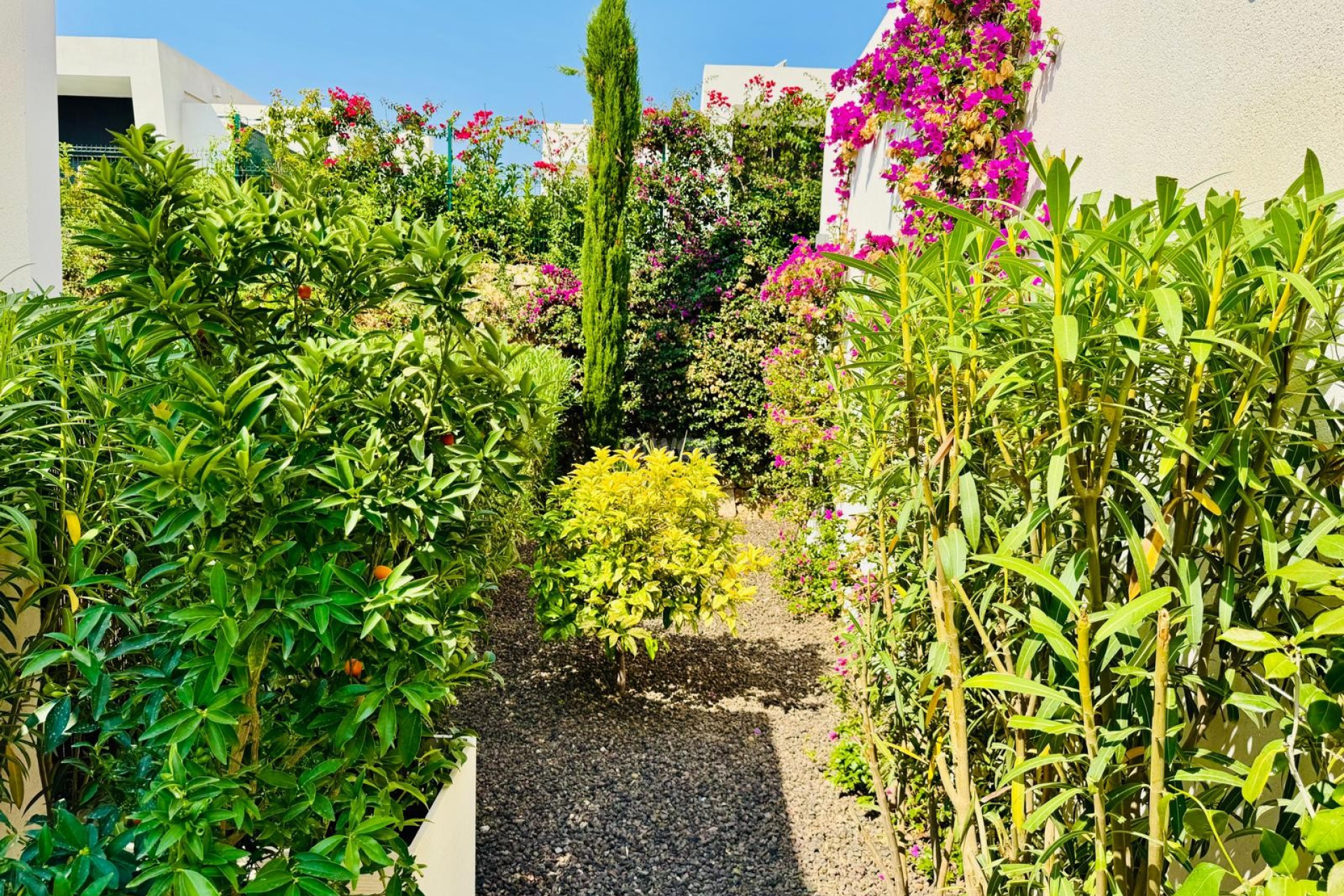 Resale - Villa - Algorfa - Inland