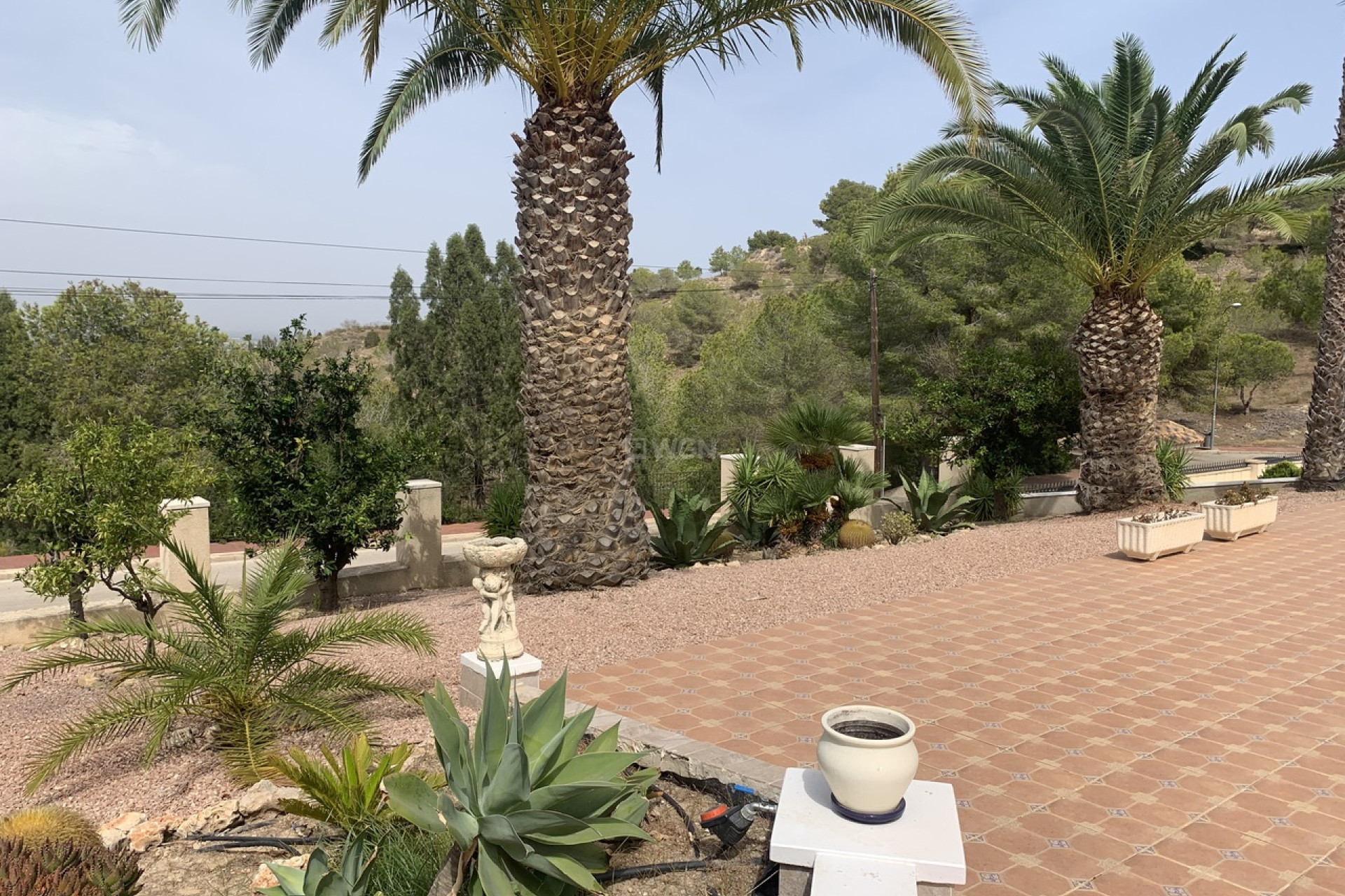 Resale - Villa - Algorfa - Inland
