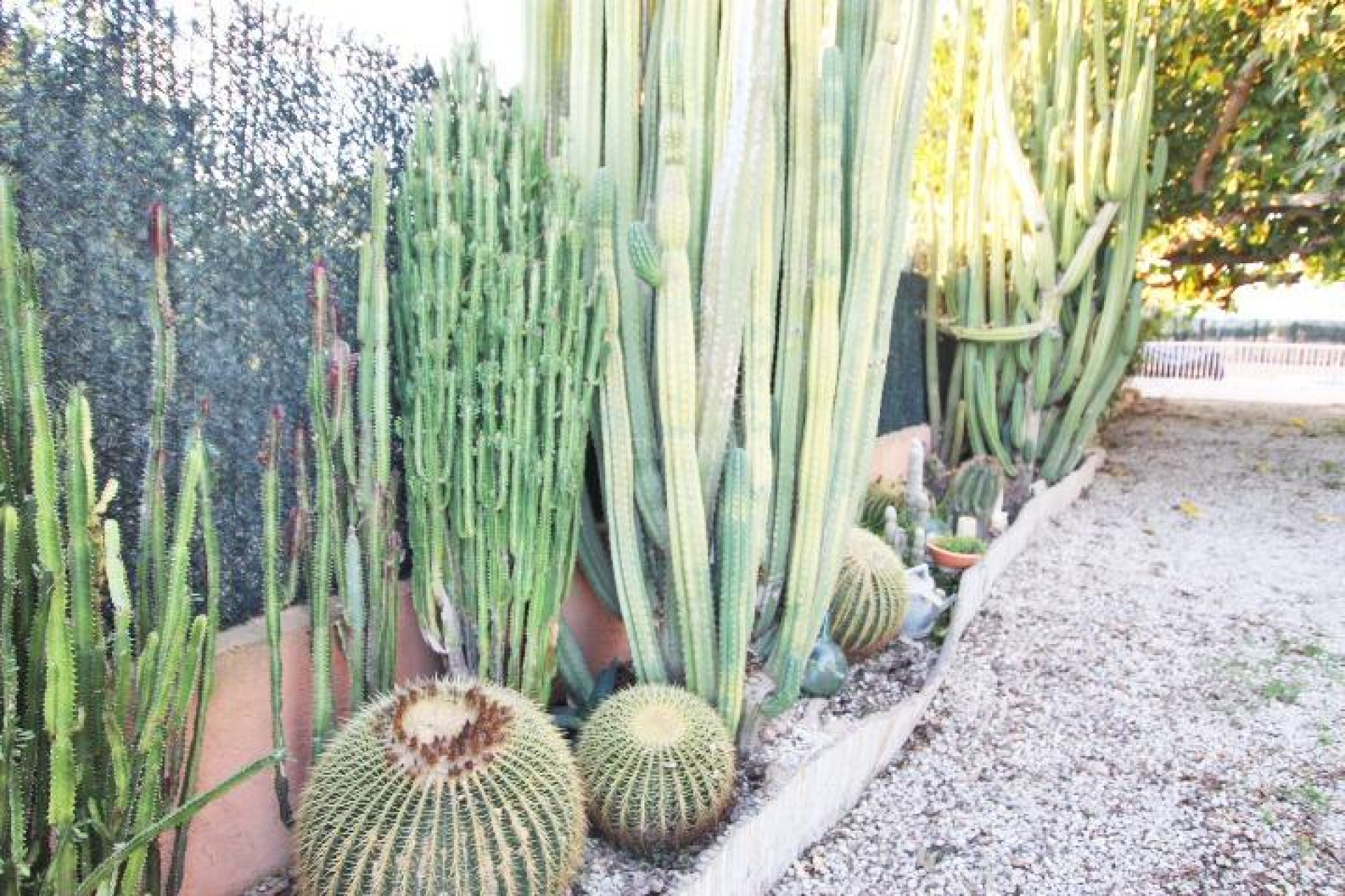 Resale - Villa - Almoradí - Comunidad Valenciana