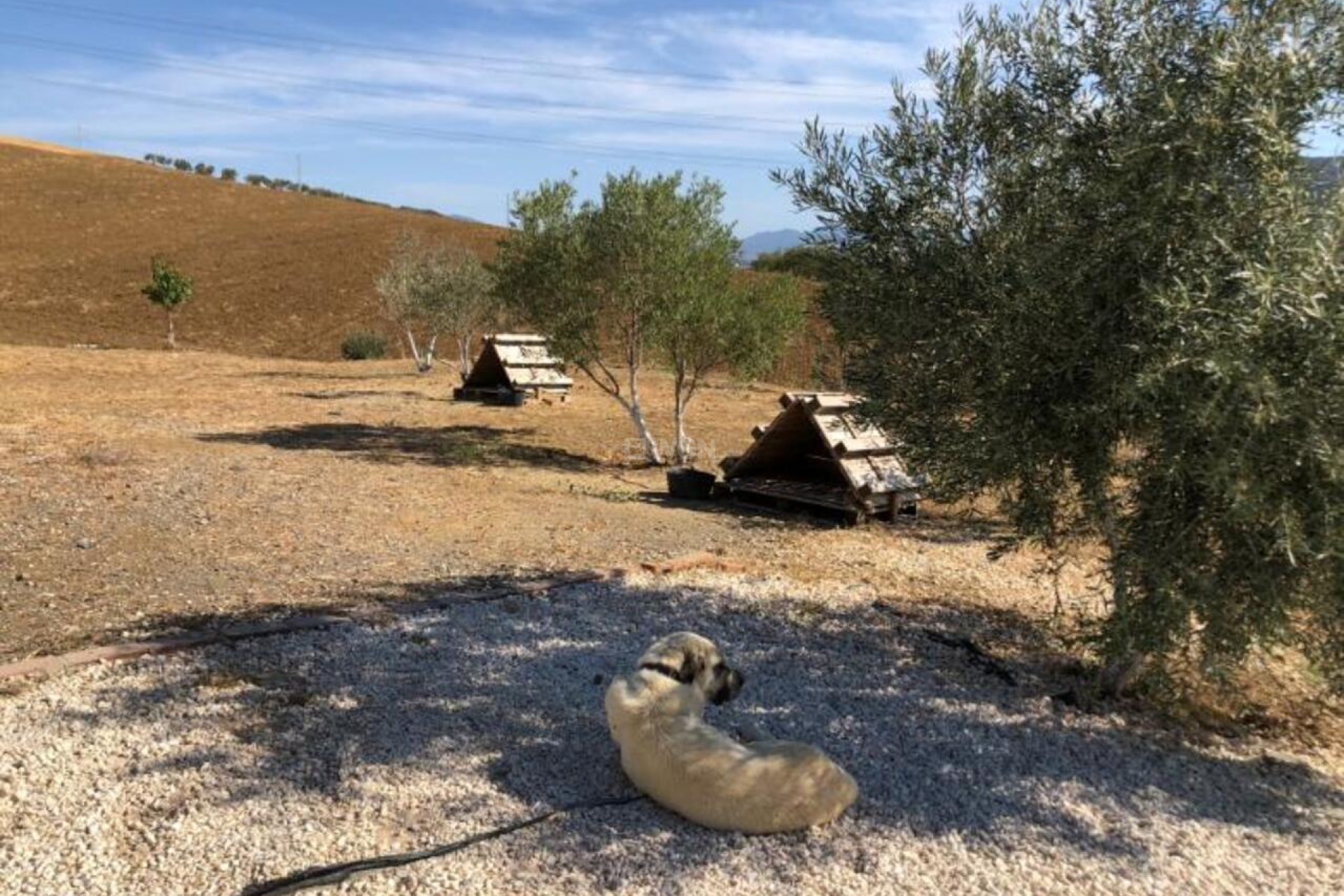 Resale - Villa - Alora - Inland