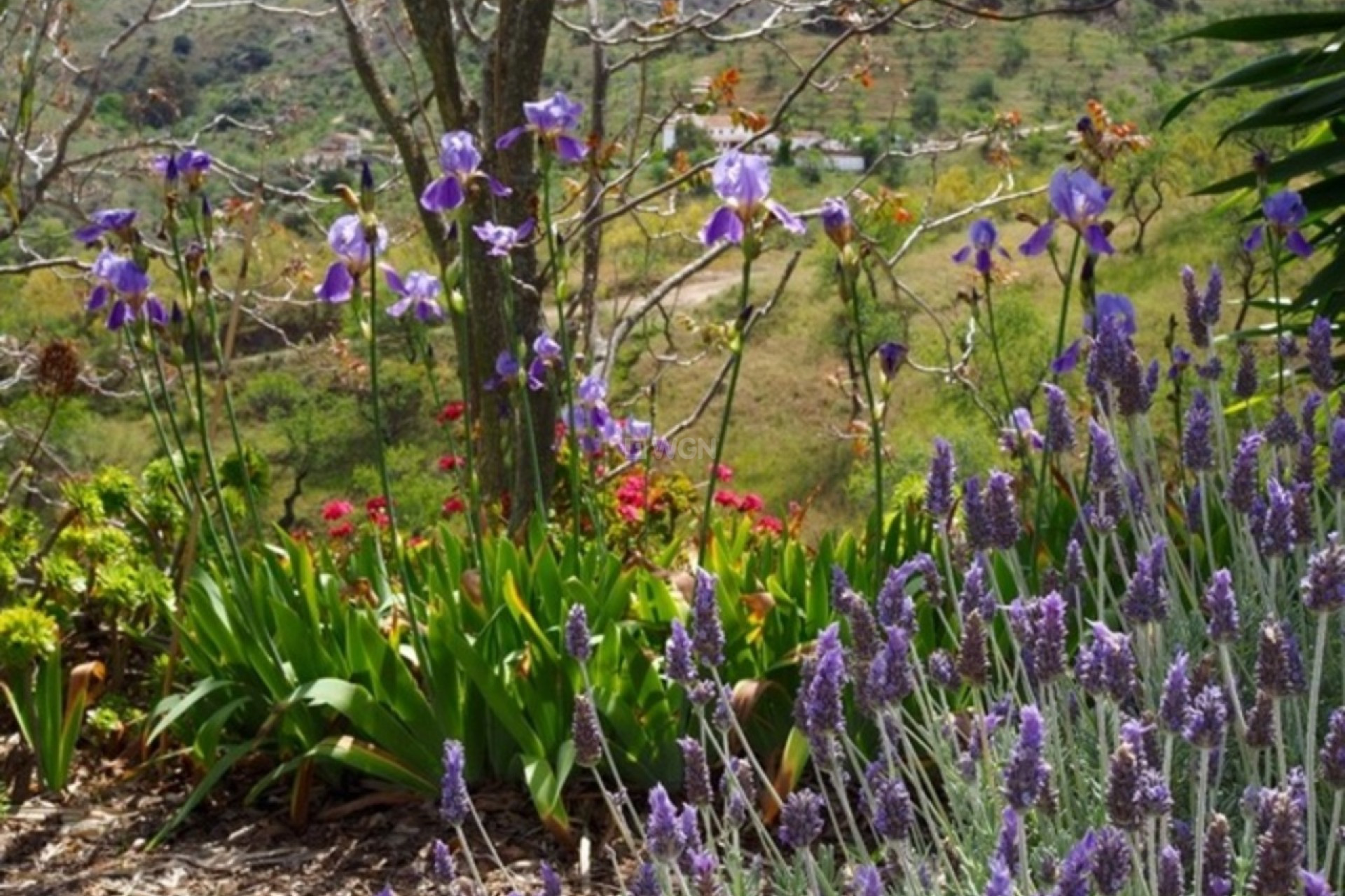 Resale - Villa - Alora - Inland