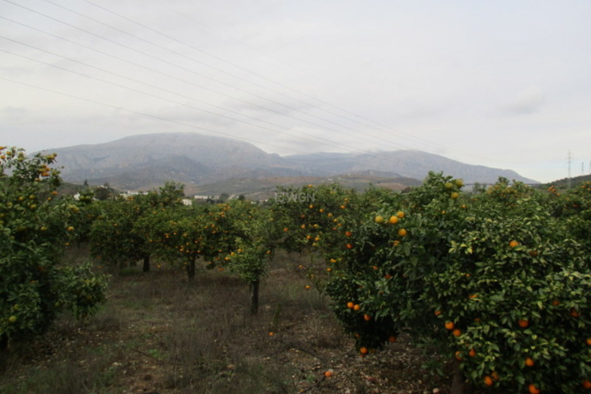 Resale - Villa - Alora - Inland