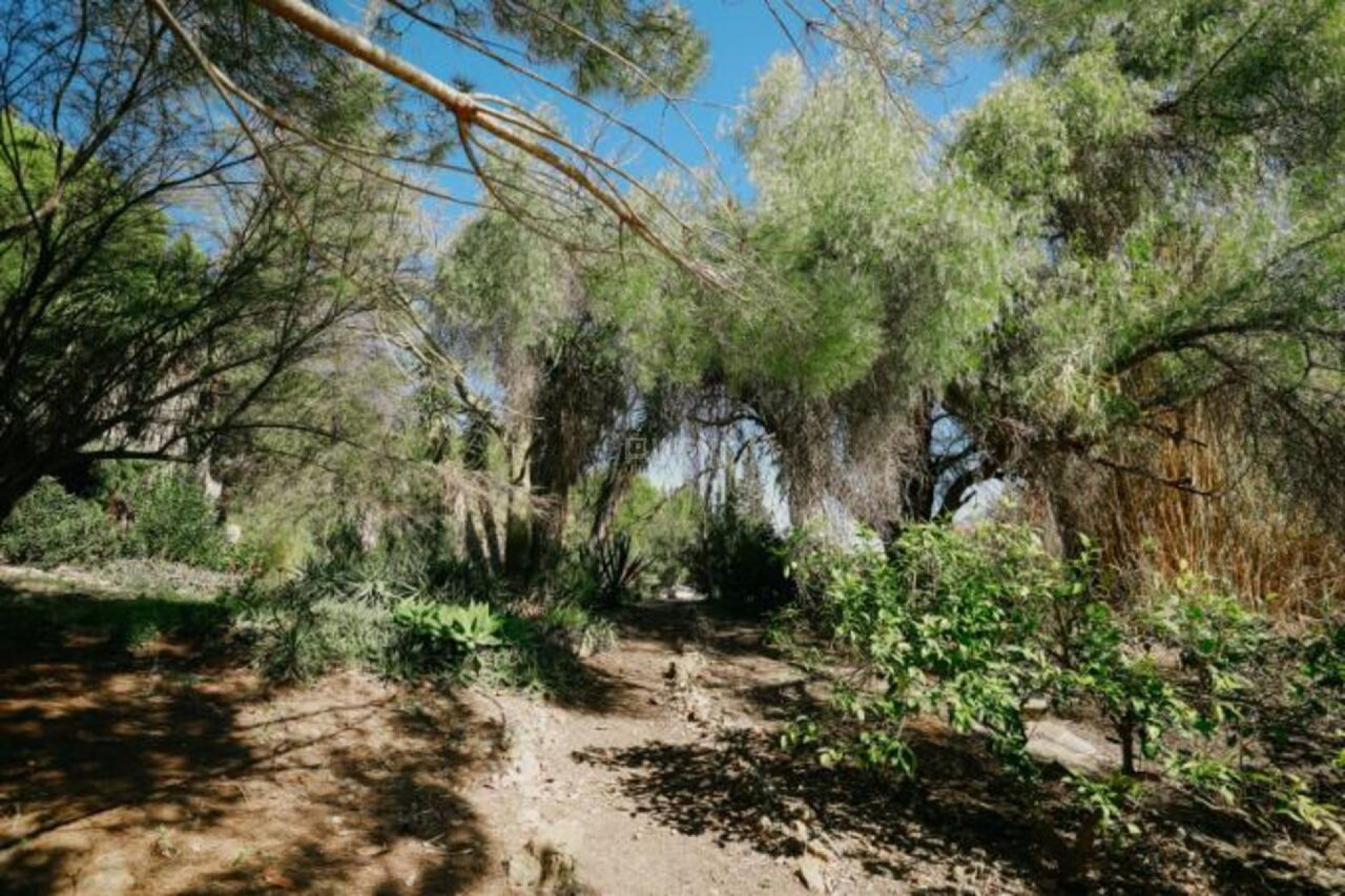 Resale - Villa - Alora - Inland