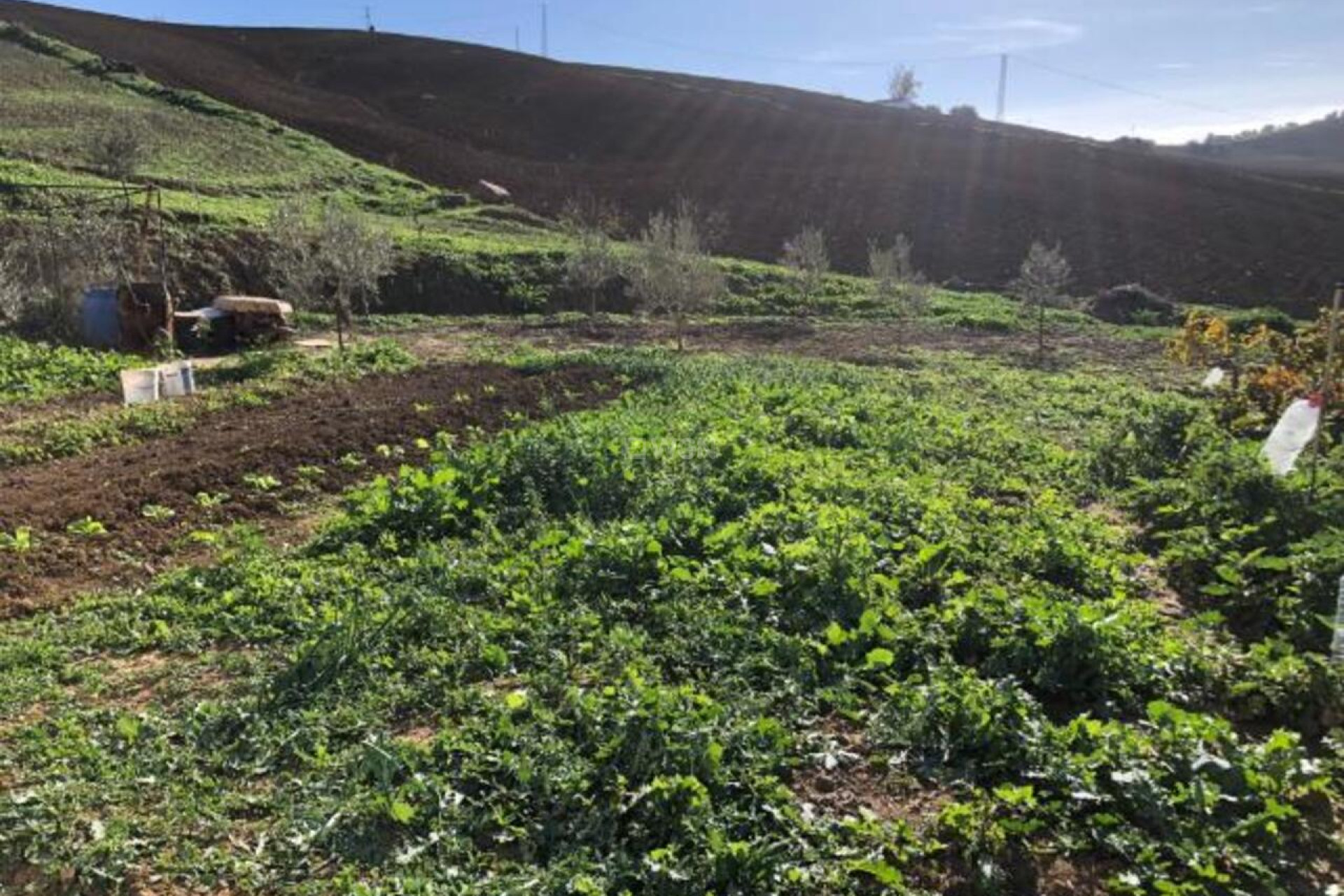 Resale - Villa - Alora - Inland
