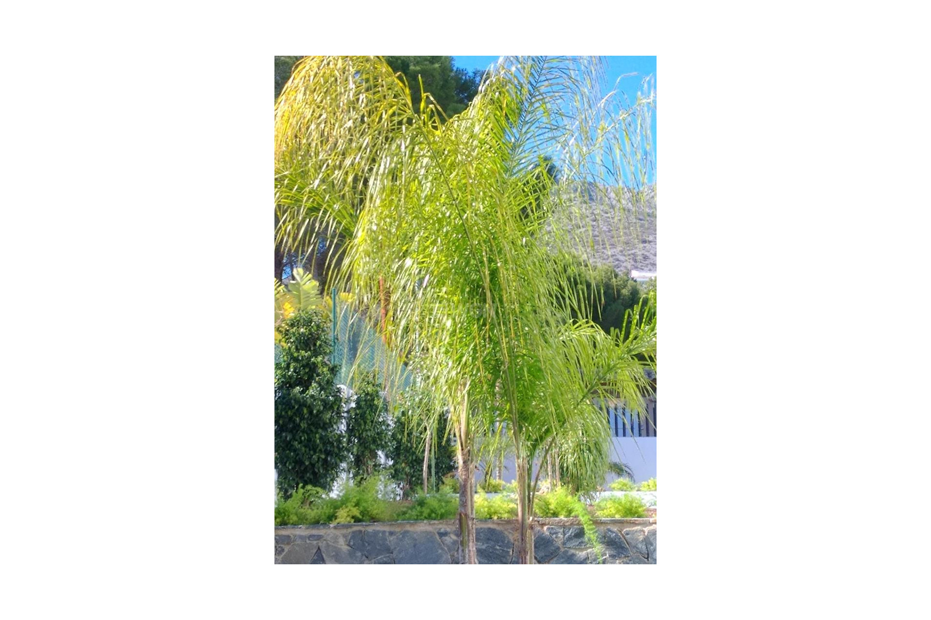 Resale - Villa - Altea - Costa Blanca