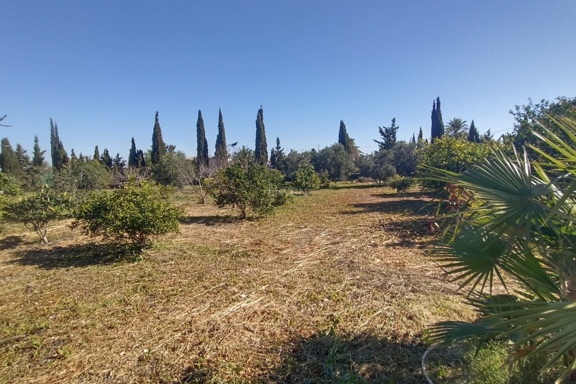 Resale - Villa - Avileses - Inland