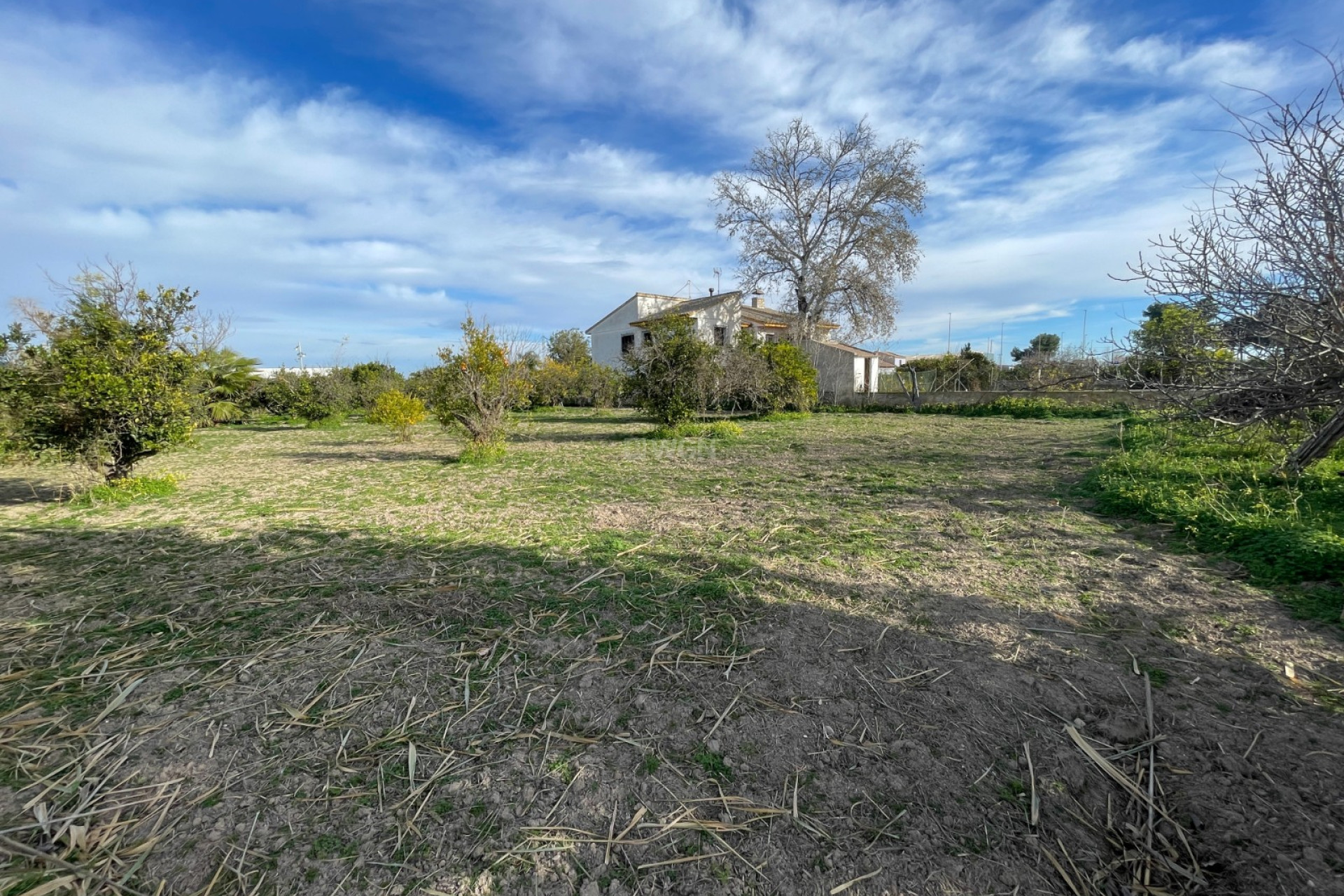 Resale - Villa - Benejúzar - Inland