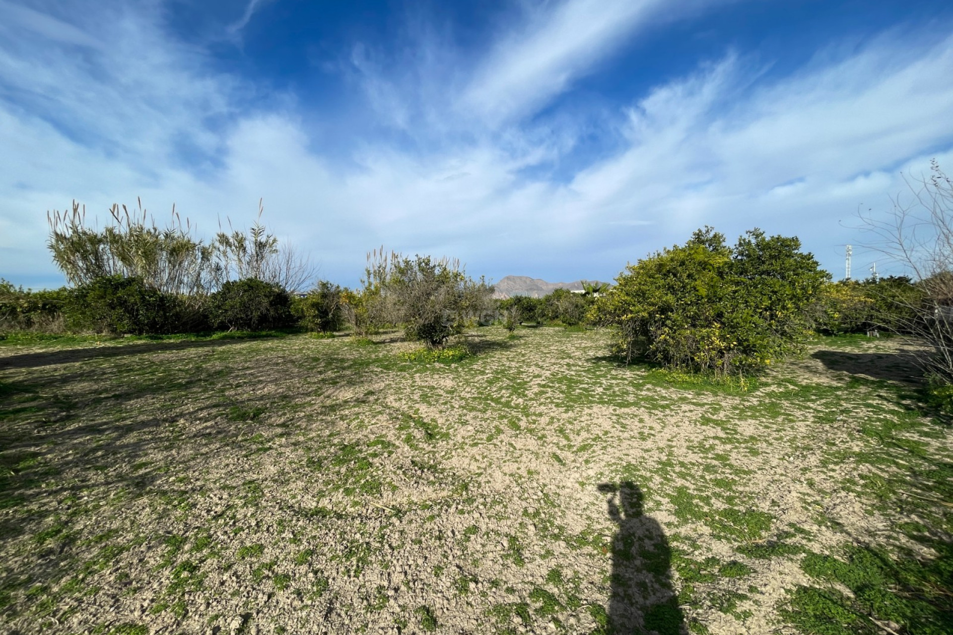 Resale - Villa - Benejúzar - Inland