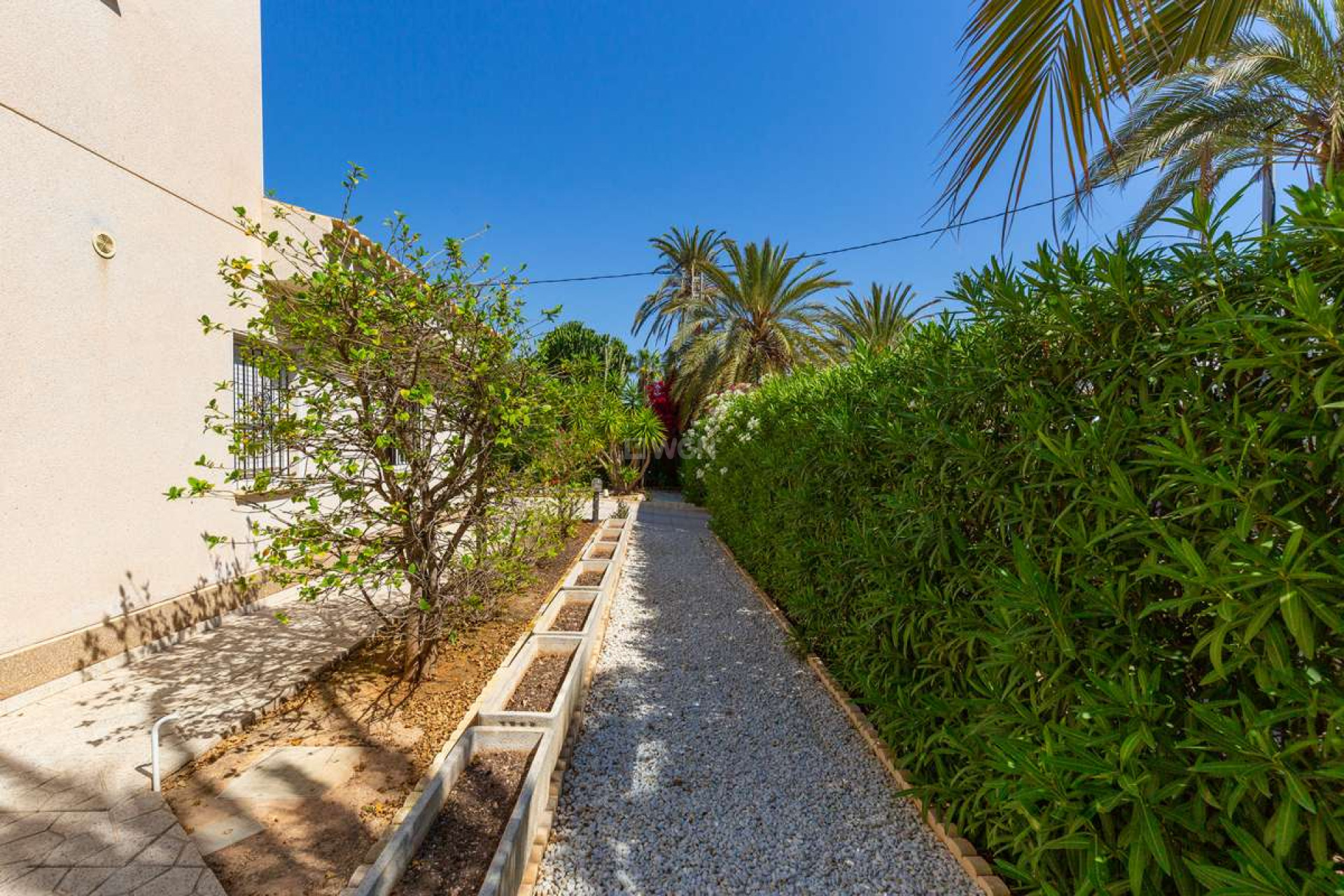 Resale - Villa - Cabo Roig - Costa Blanca