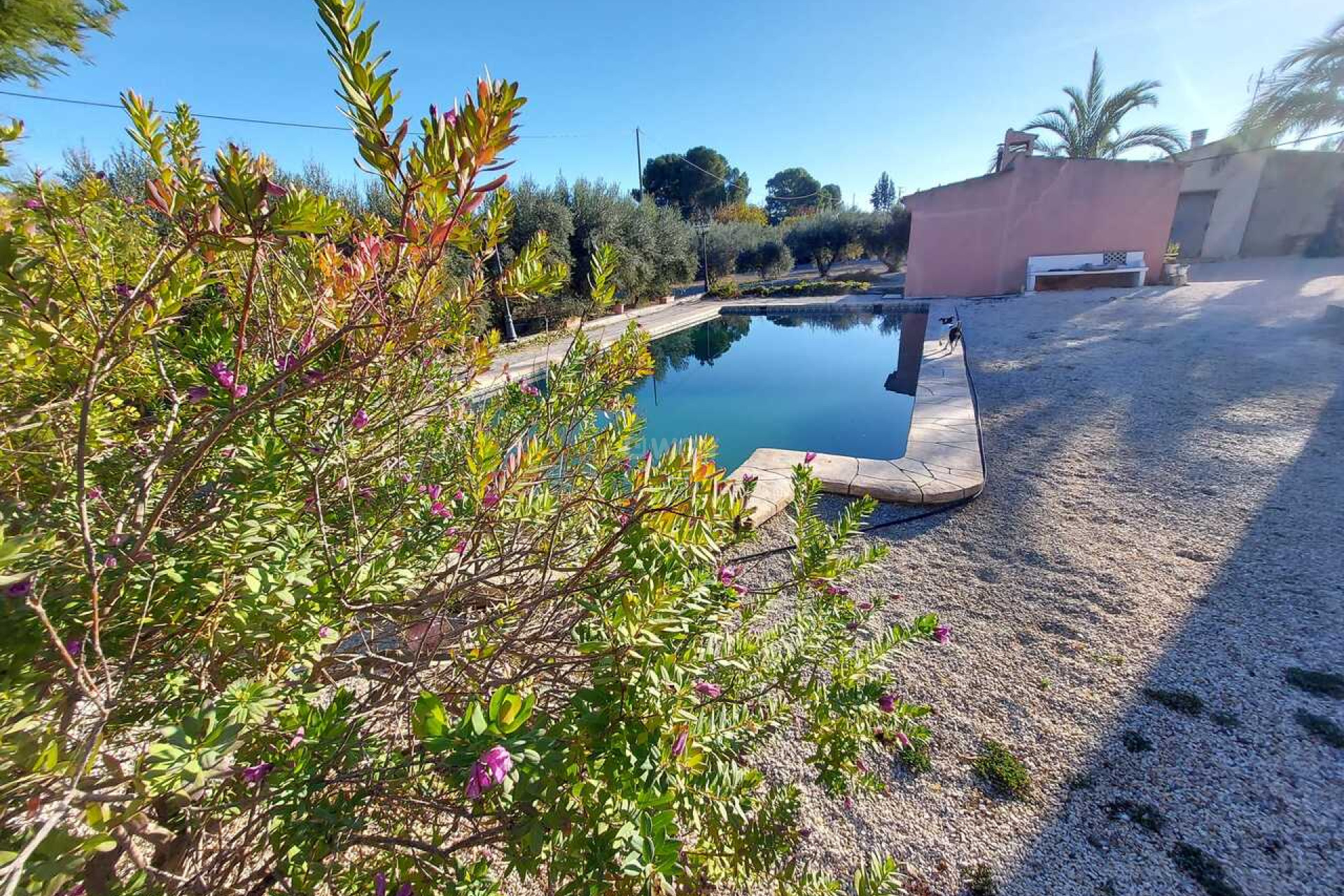 Resale - Villa - Calasparra - Inland