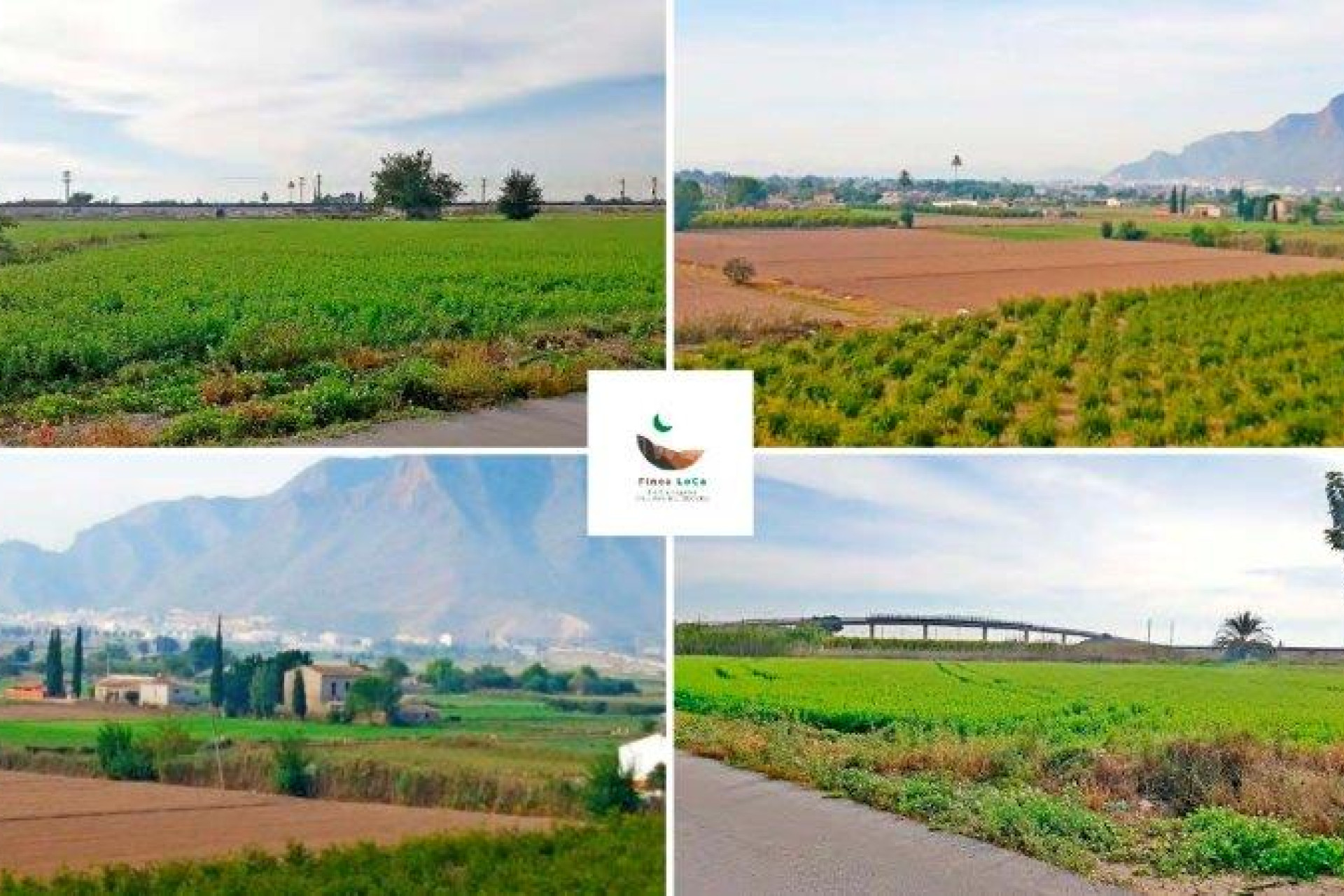 Resale - Villa - Callosa de Segura - Inland