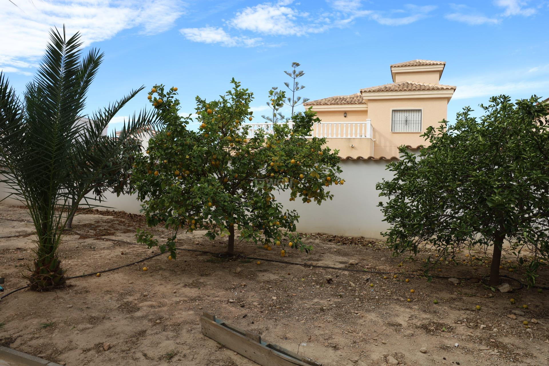 Resale - Villa - Ciudad Quesada - Costa Blanca Sur