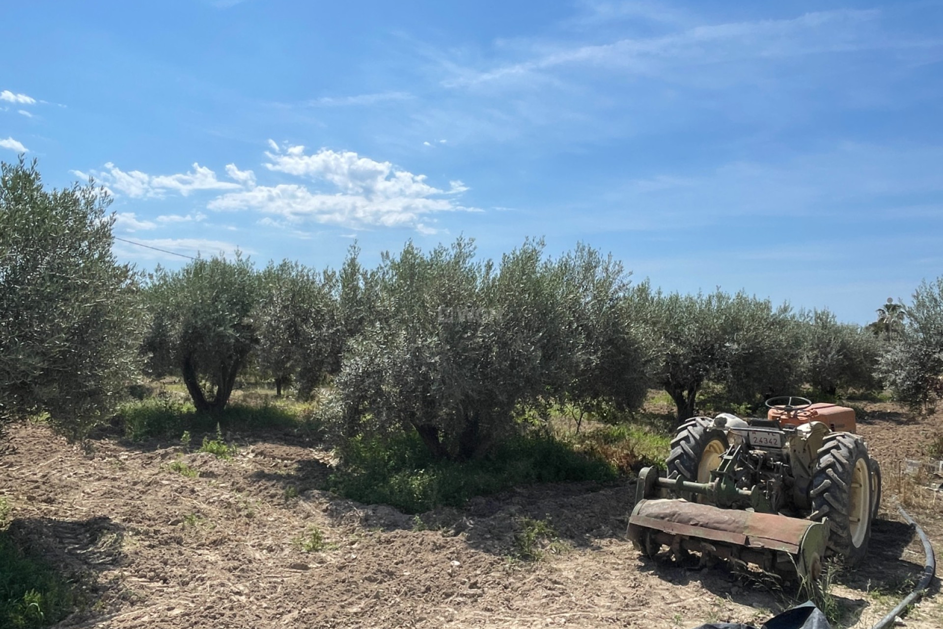 Resale - Villa - Crevillent - Inland