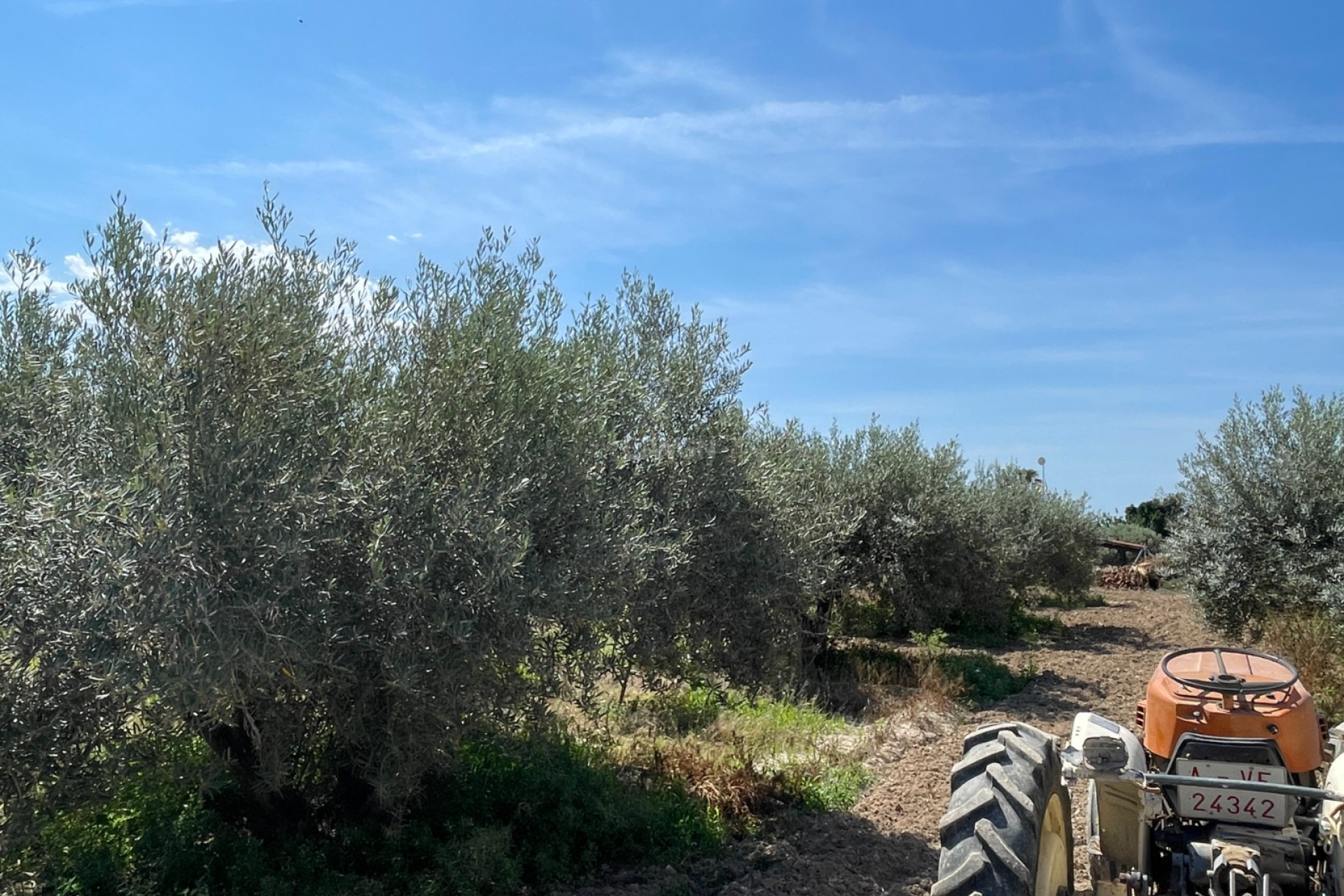 Resale - Villa - Crevillent - Inland