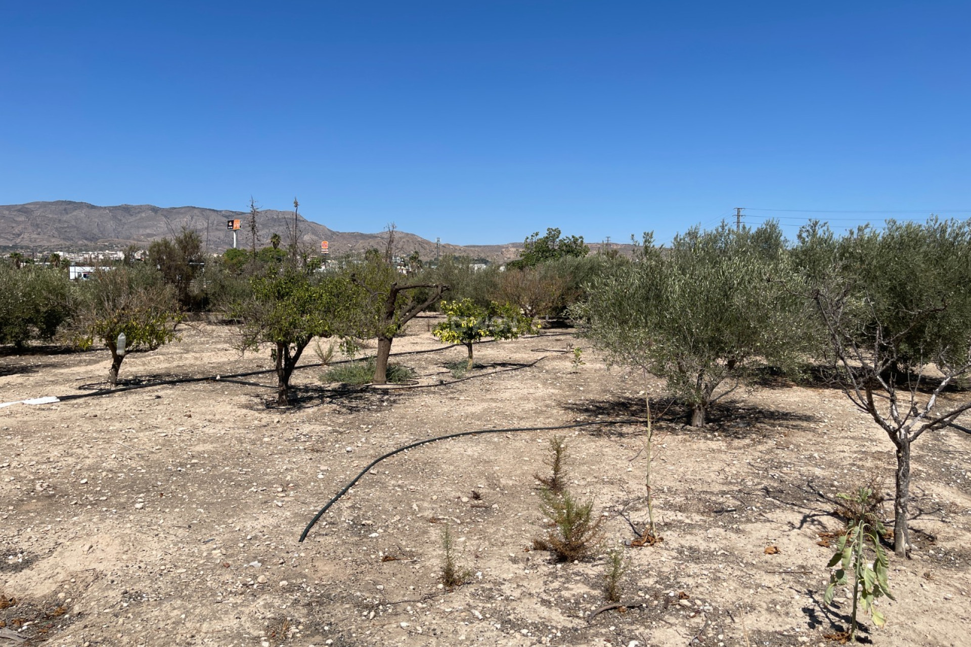 Resale - Villa - Crevillent - Inland