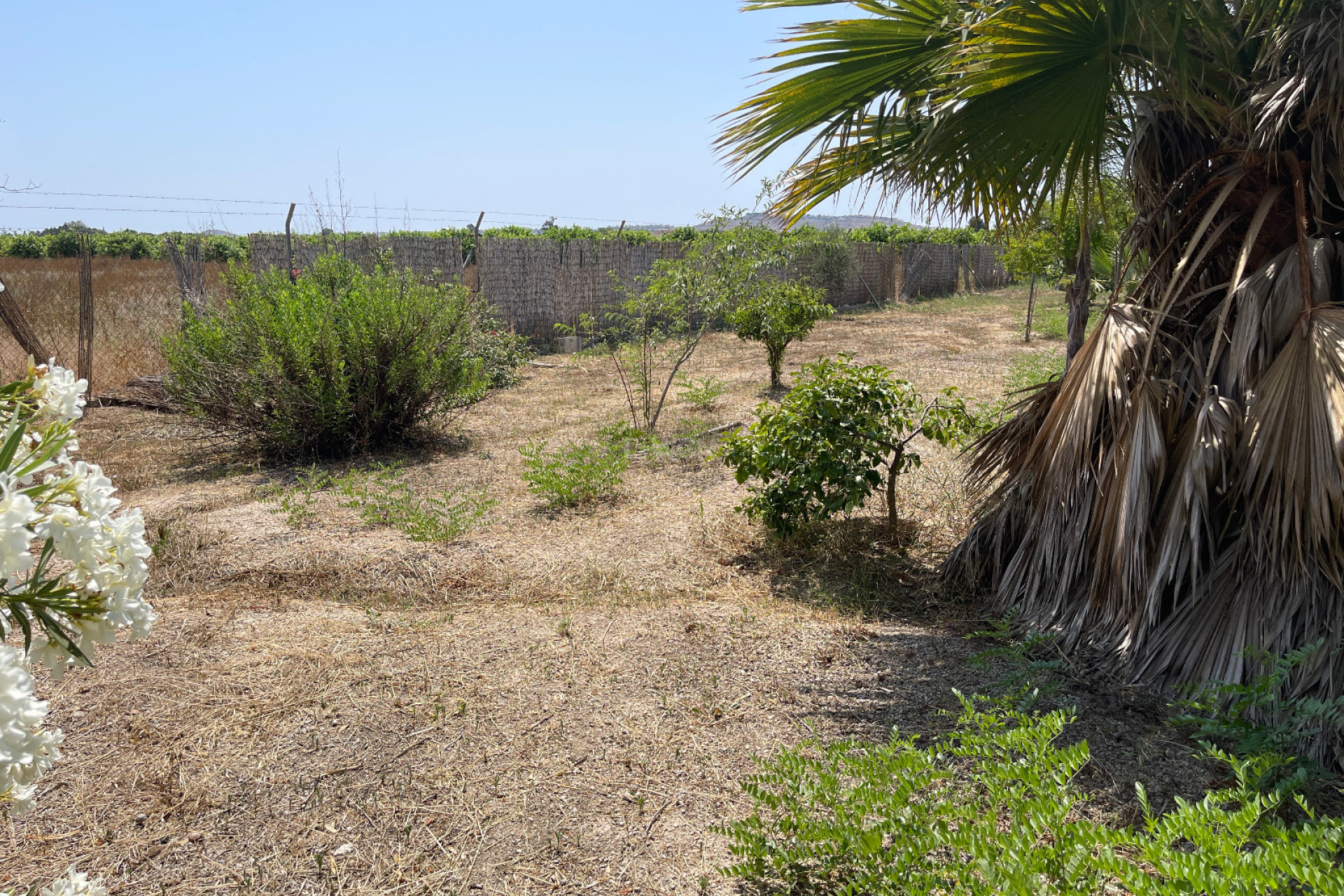 Resale - Villa - Daya Nueva - Costa Blanca