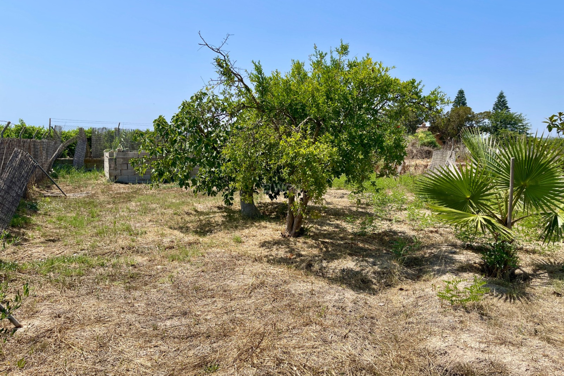 Resale - Villa - Daya Nueva - Costa Blanca
