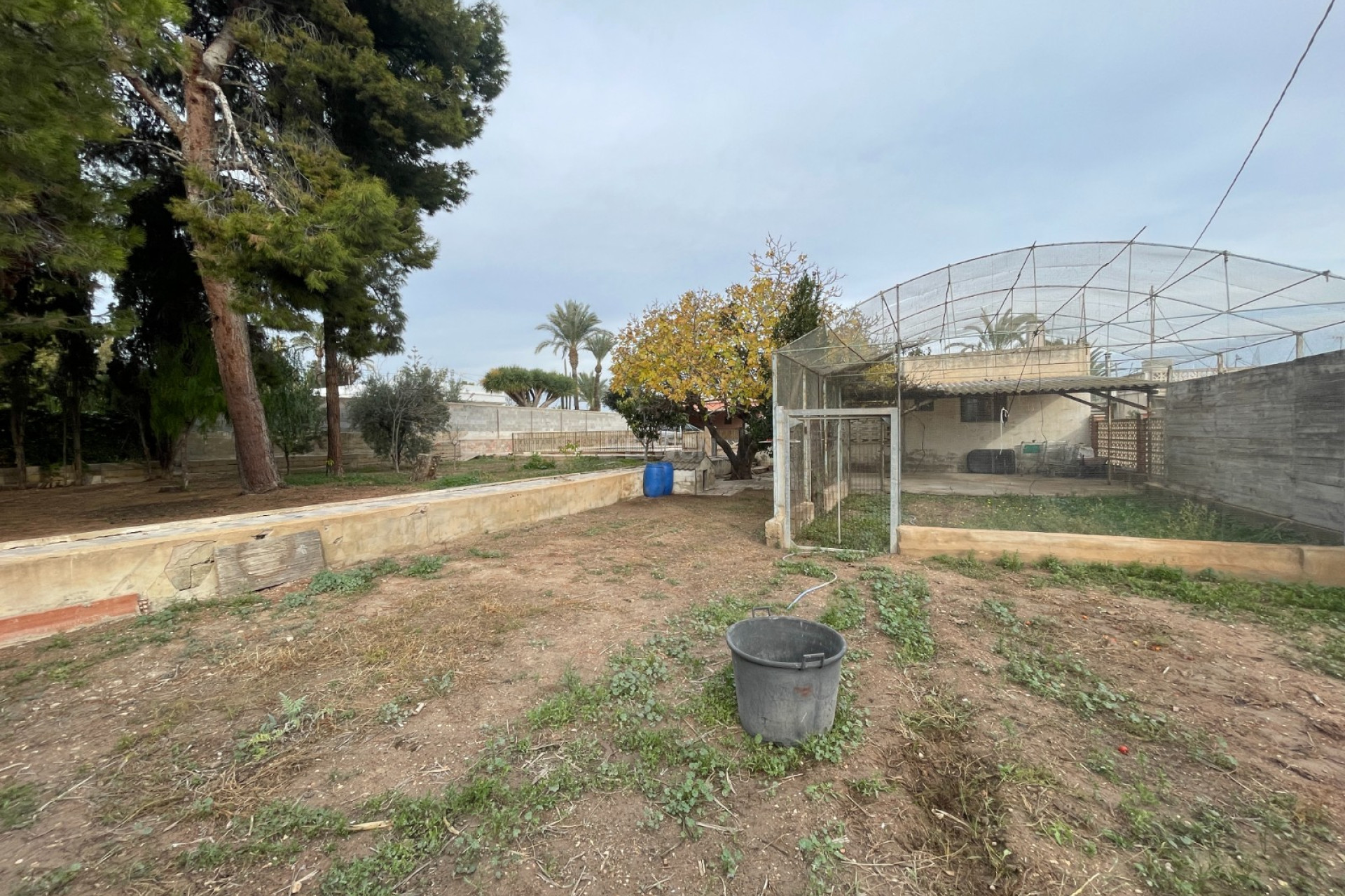 Resale - Villa - Elche - Costa Blanca