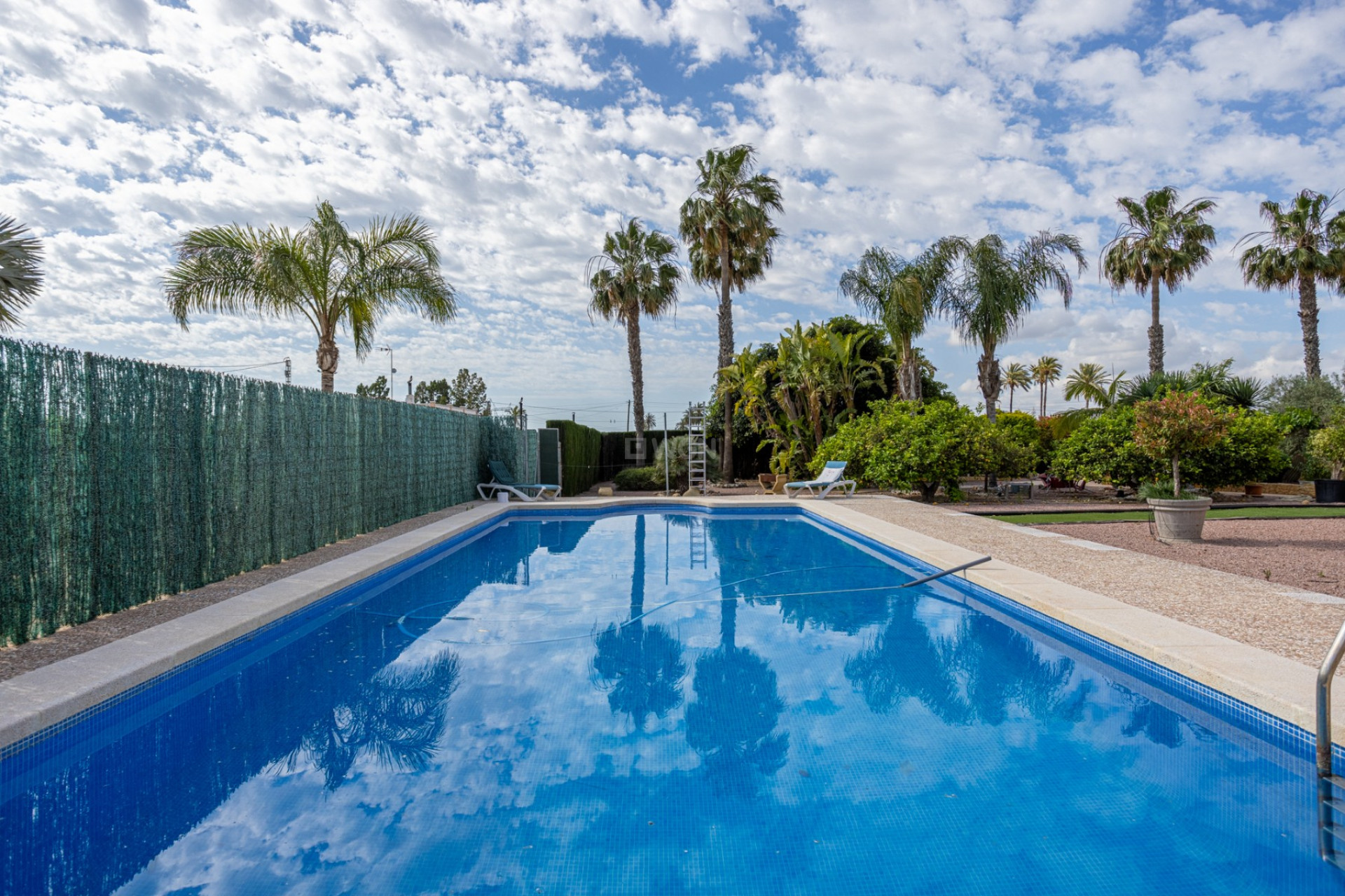 Resale - Villa - Elche - Costa Blanca
