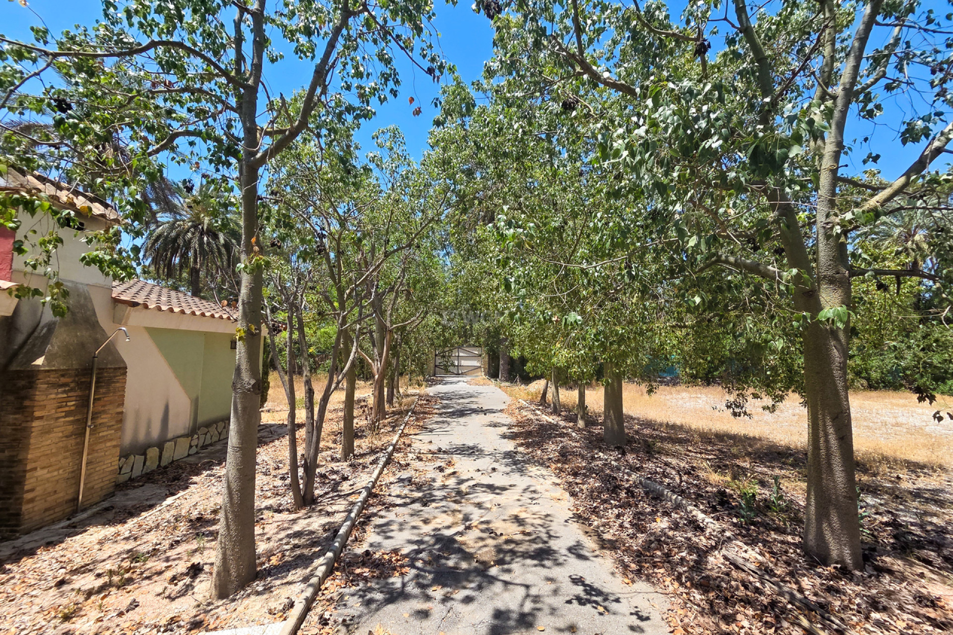 Resale - Villa - Elche - Costa Blanca