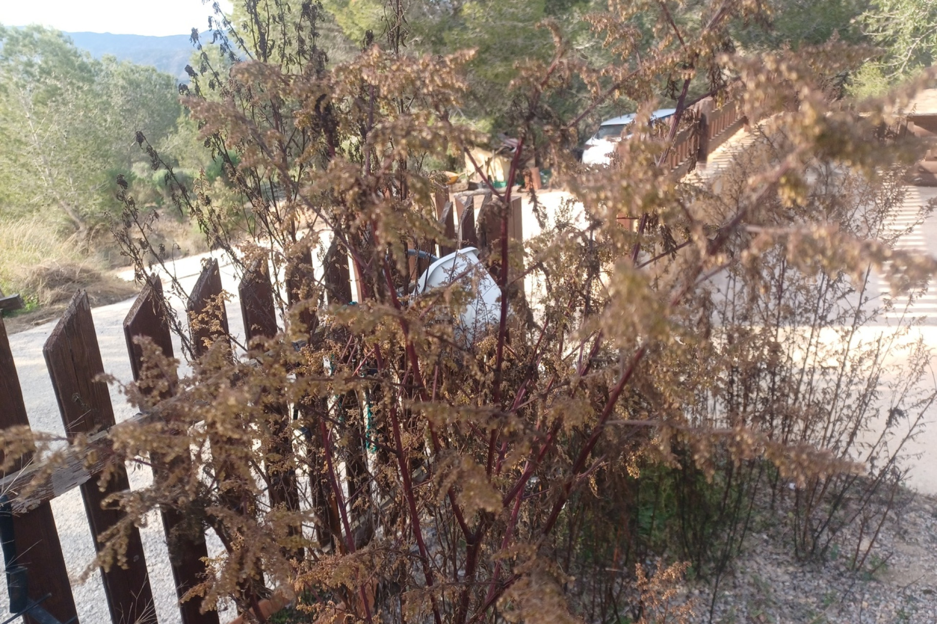 Resale - Villa - Gea Y Truyols - Inland