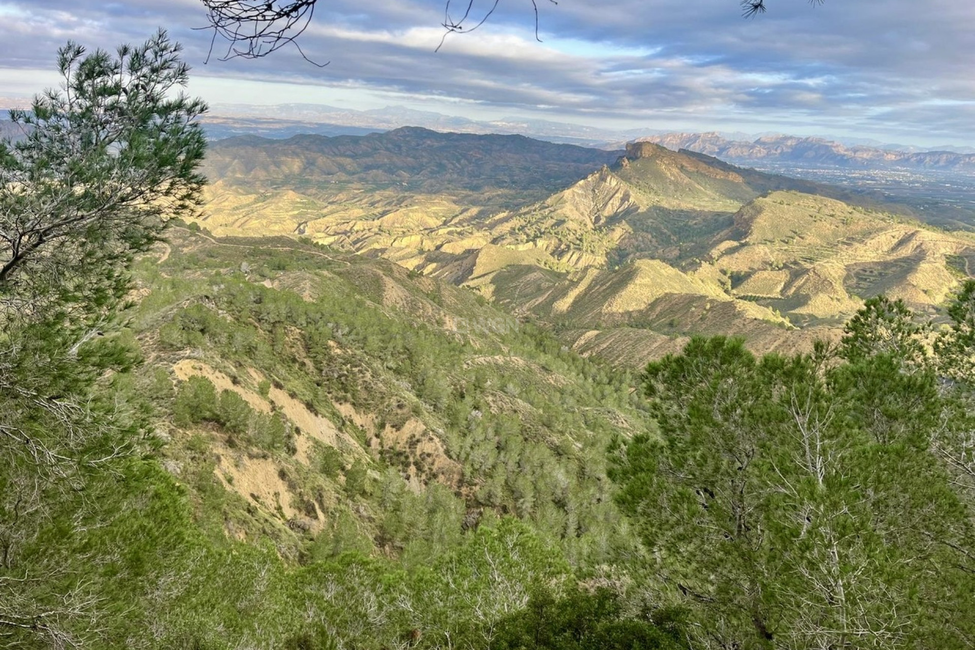 Resale - Villa - Gea Y Truyols - Sierra de Columbares Natural Park