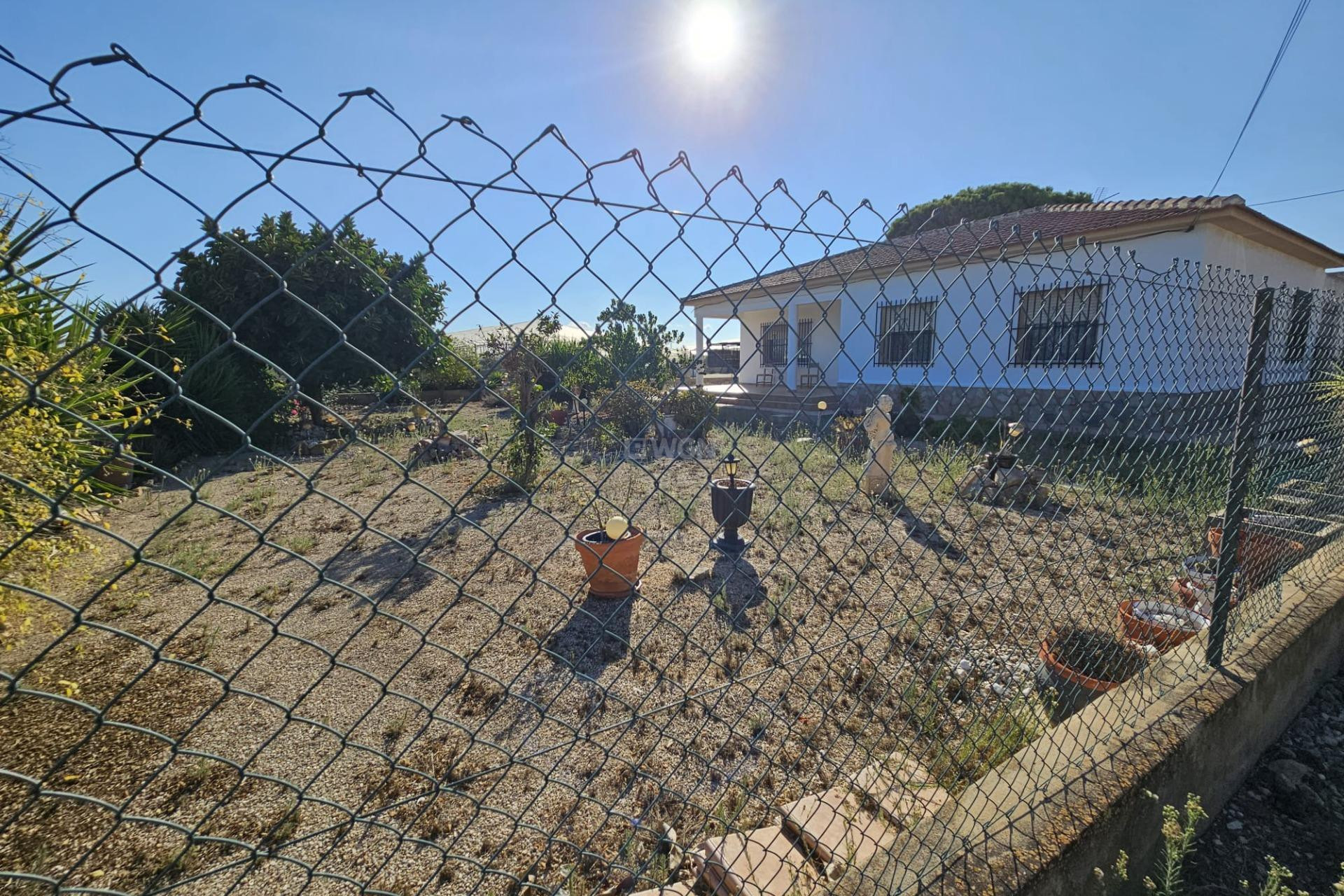 Resale - Villa - Guardamar del Segura - Buenavista