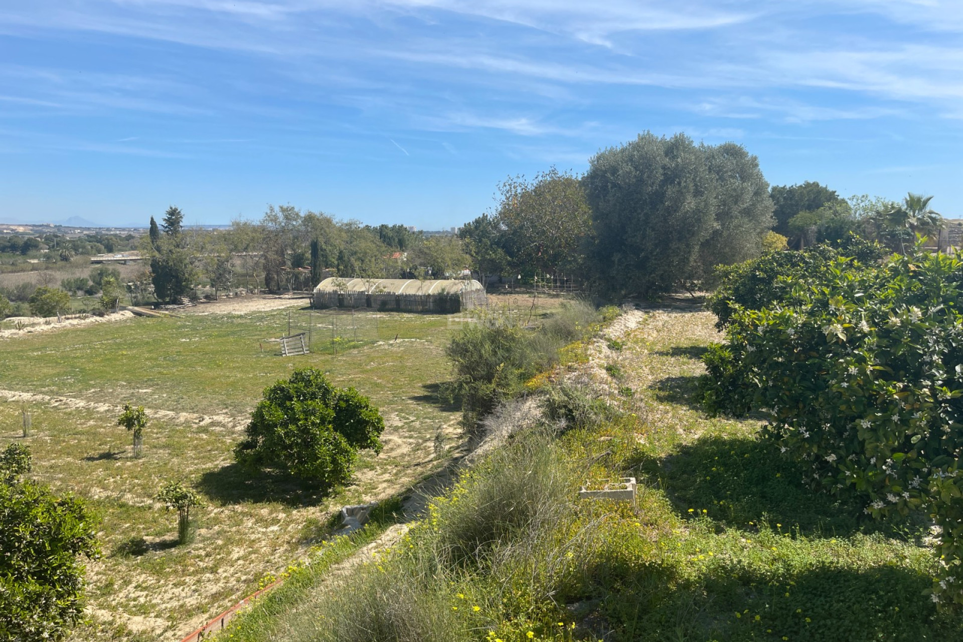 Resale - Villa - Guardamar del Segura - Costa Blanca