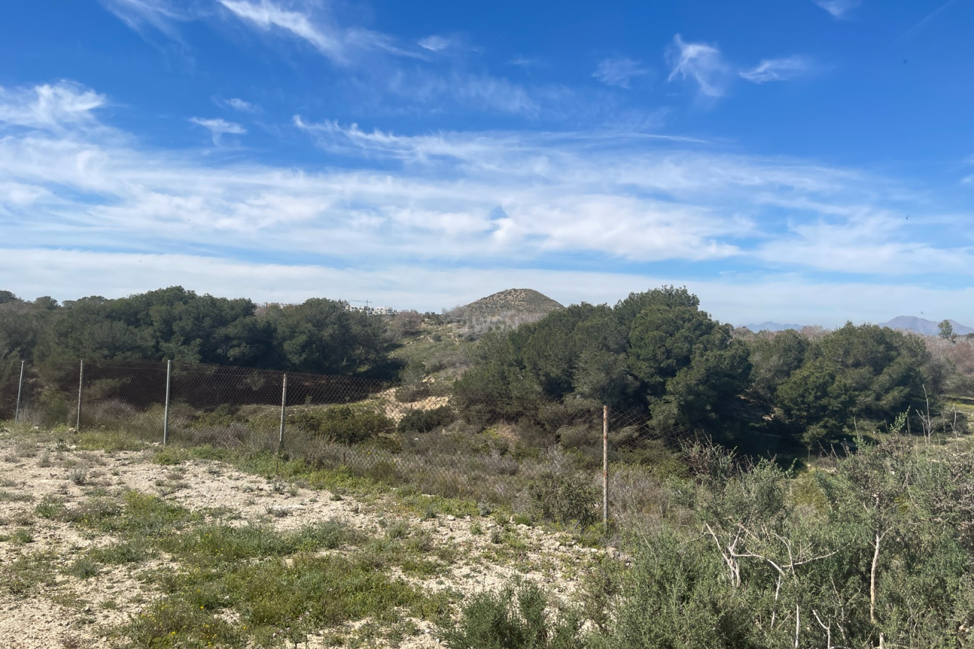 Resale - Villa - Guardamar del Segura - Costa Blanca