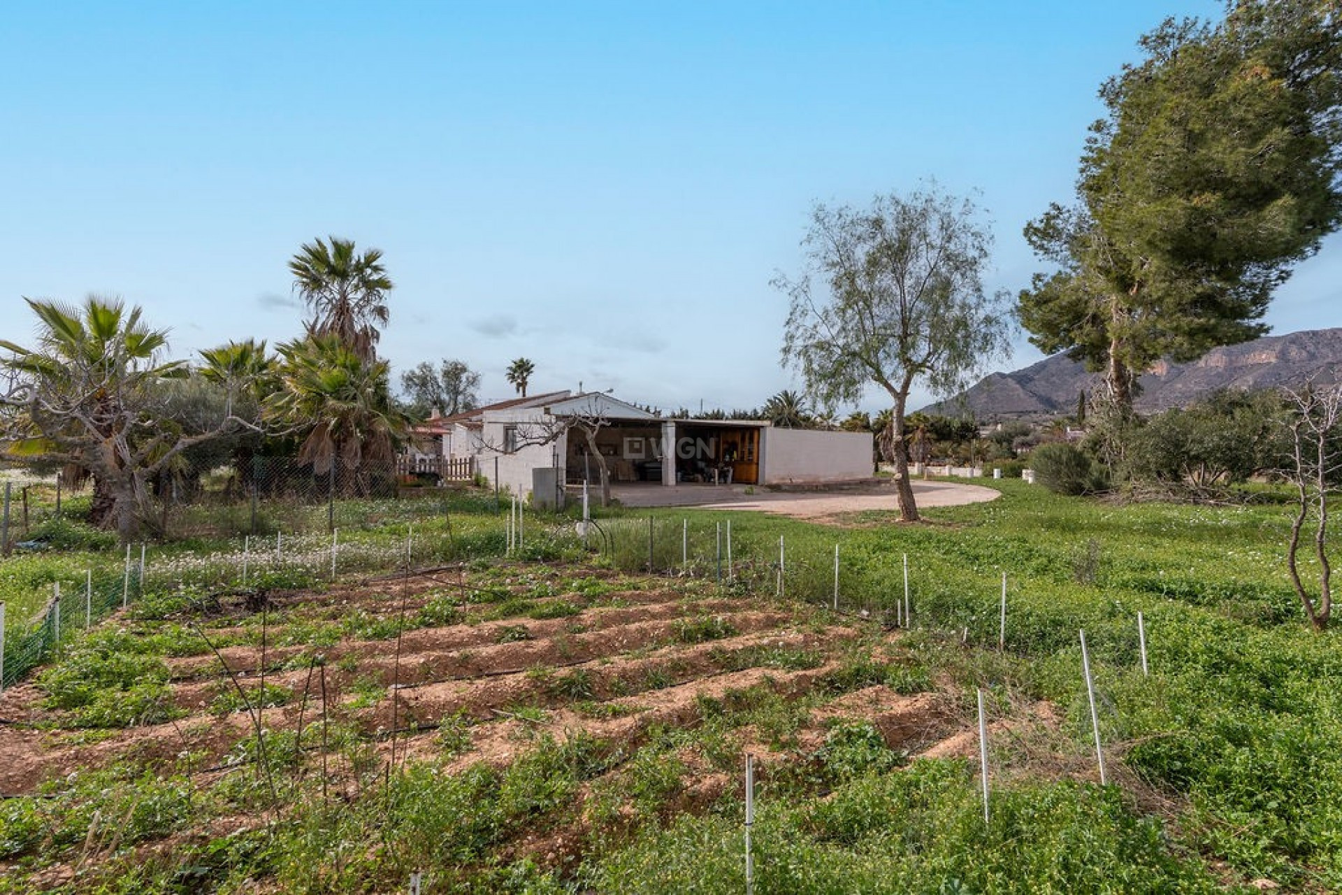 Resale - Villa - Hondón de las Nieves - Inland